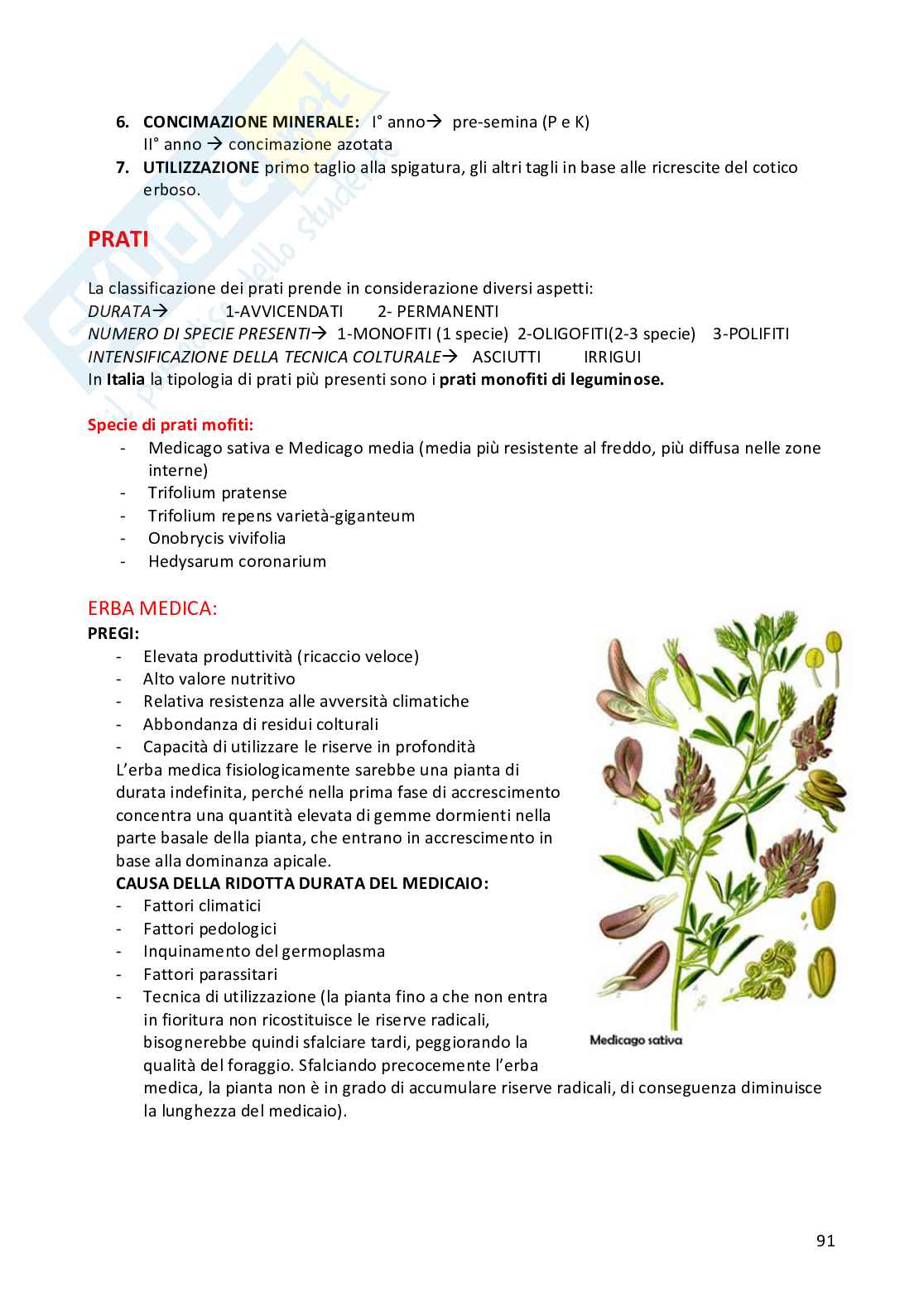 Sistemi colturali erbacei Pag. 91