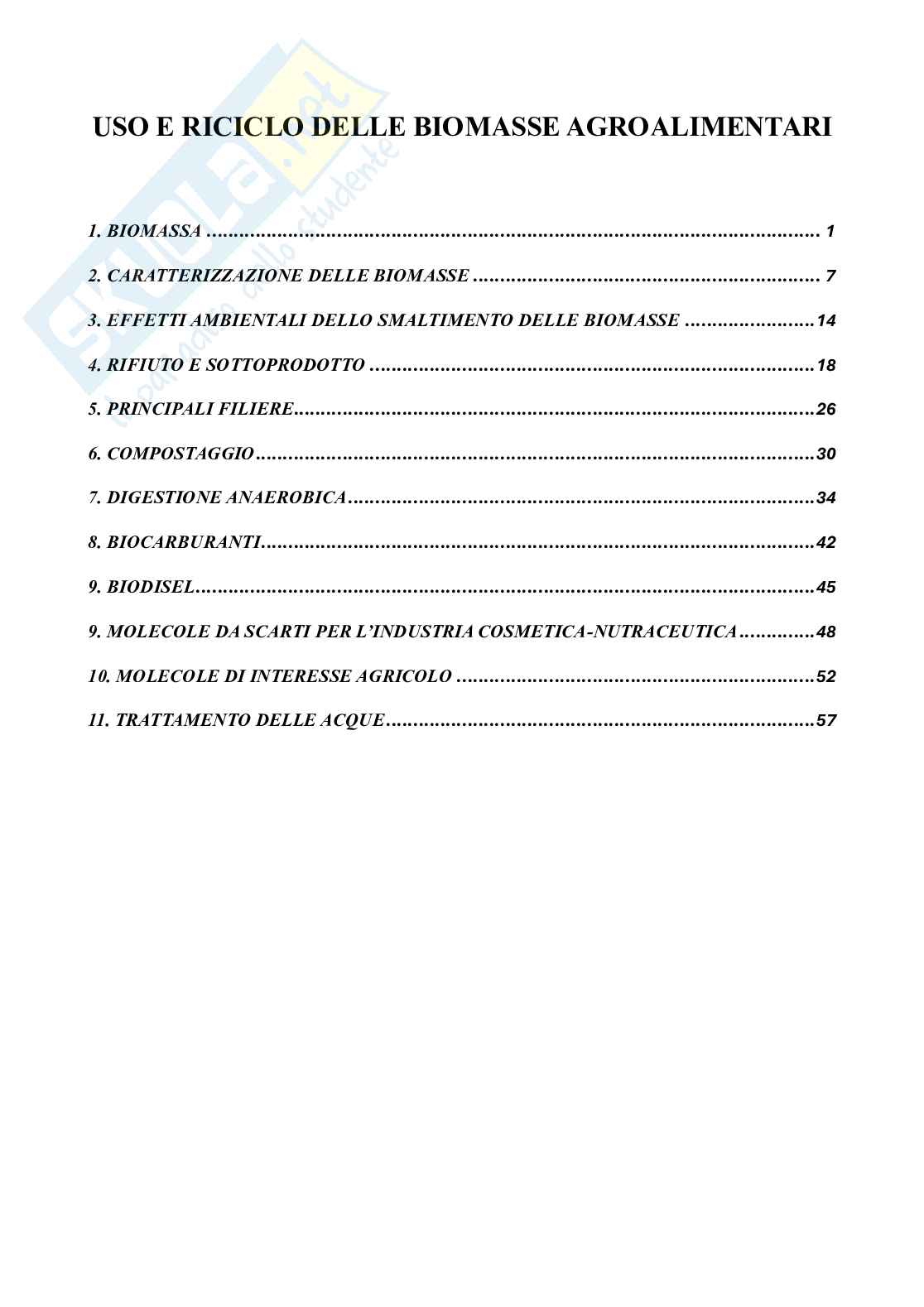 Appunti completi di Uso e ricilio delle biomasse agroalimentari Pag. 1