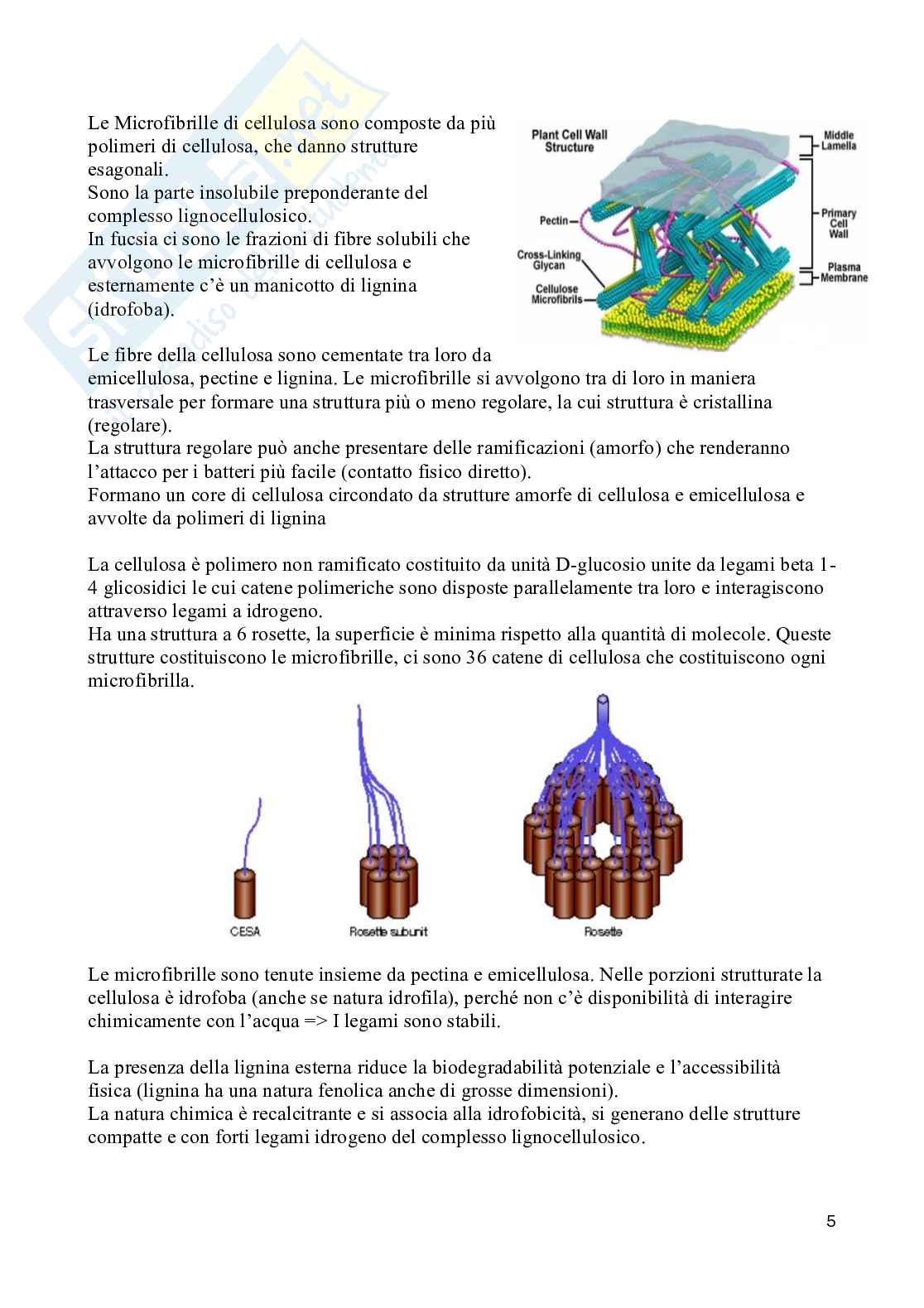 Appunti completi di Uso e ricilio delle biomasse agroalimentari Pag. 6
