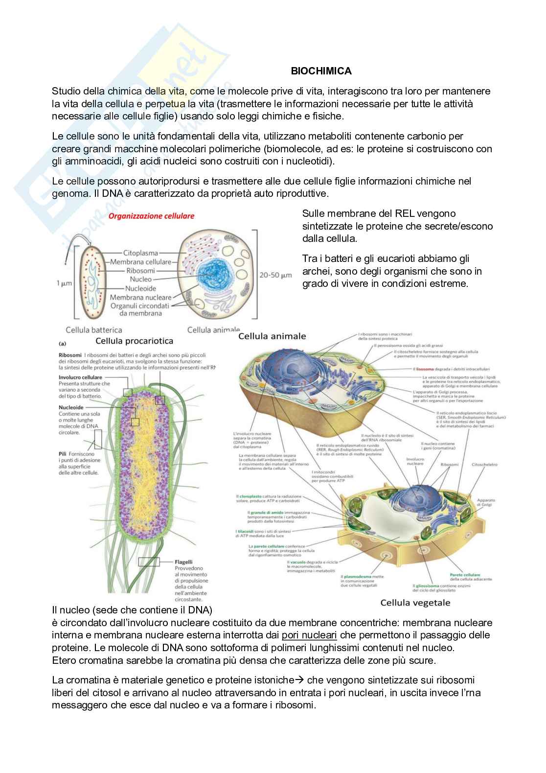 Biochimica - prima parte  Pag. 1