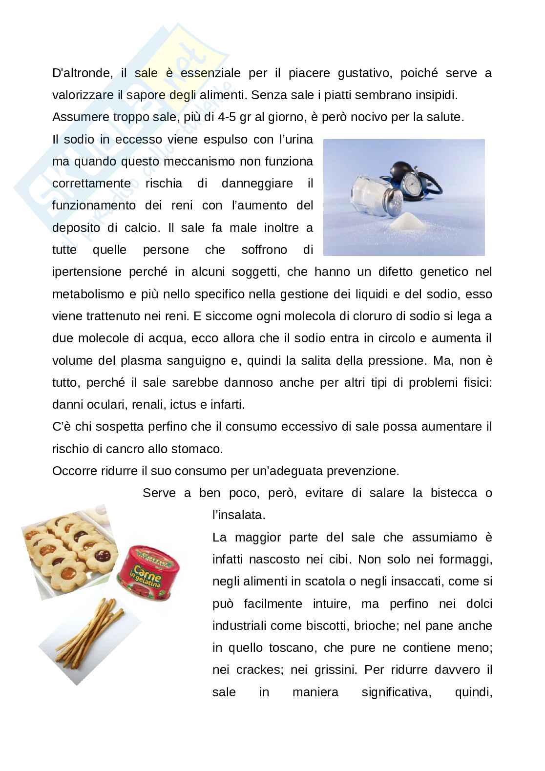 Colori del sale, tesina Pag. 6