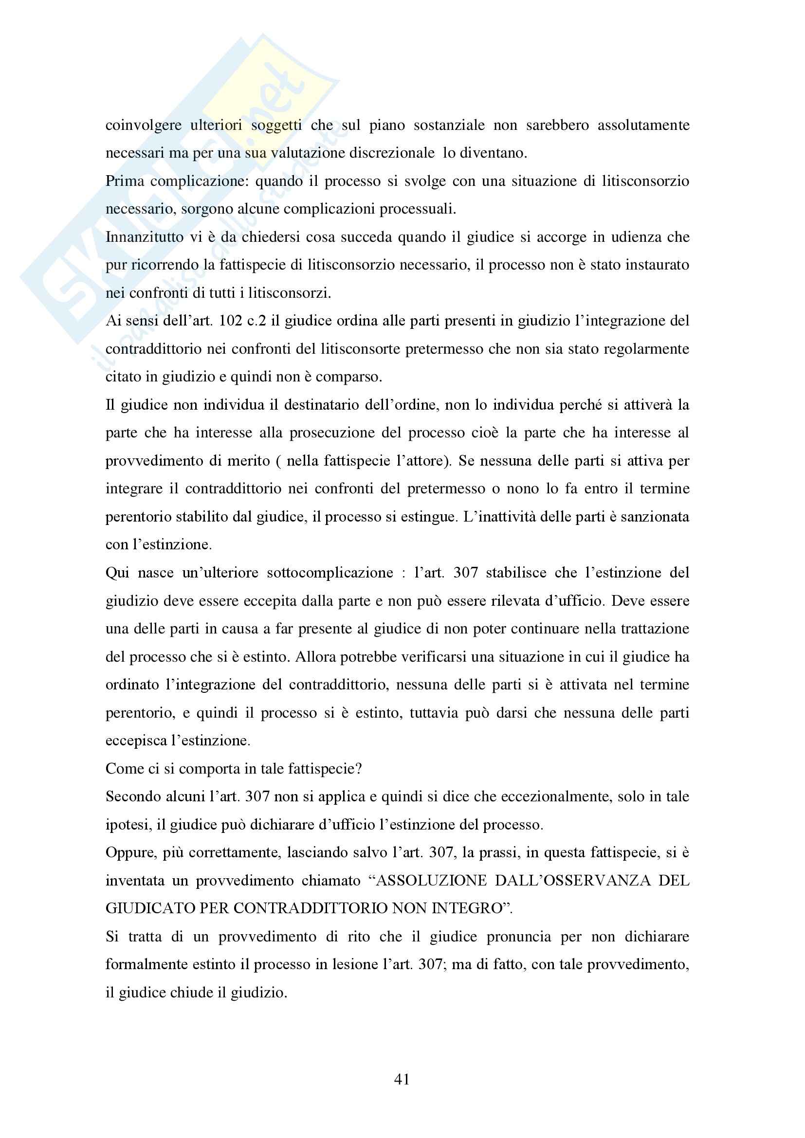 Diritto processuale civile - i principi del processo civile Pag. 41