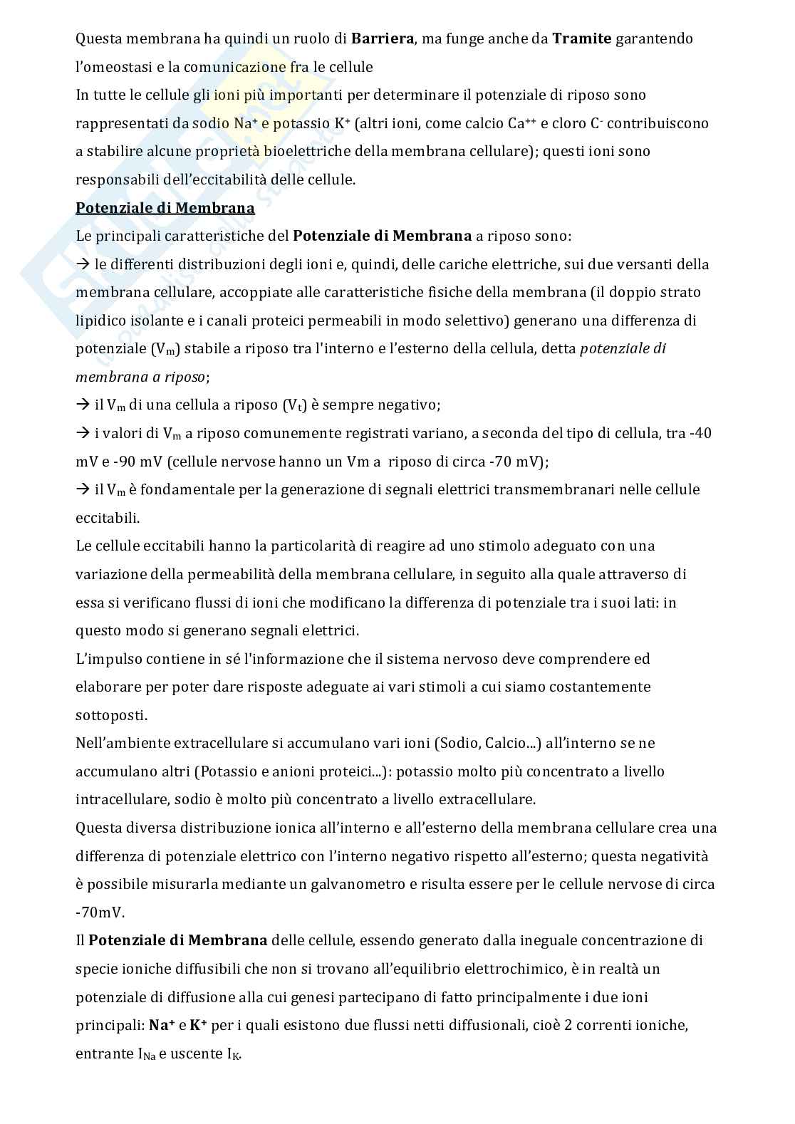 Appunti di Fisiologia adattato all'esercizio fisico  Pag. 6
