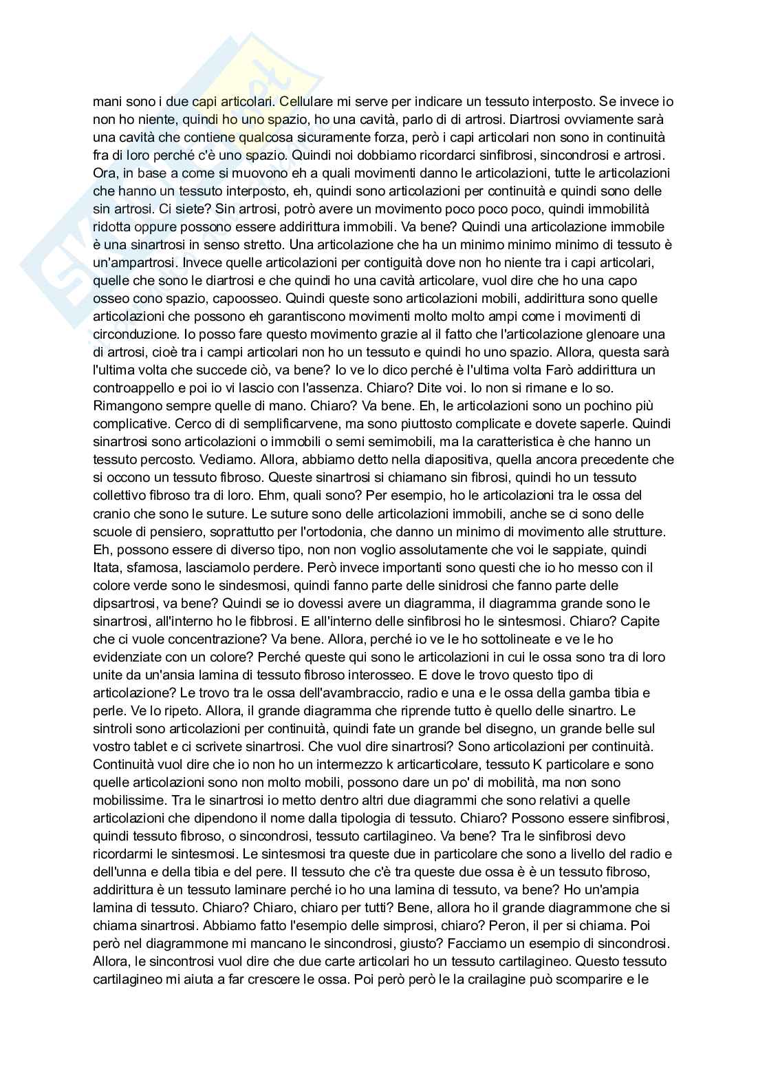 Anatomia 2 Pag. 26