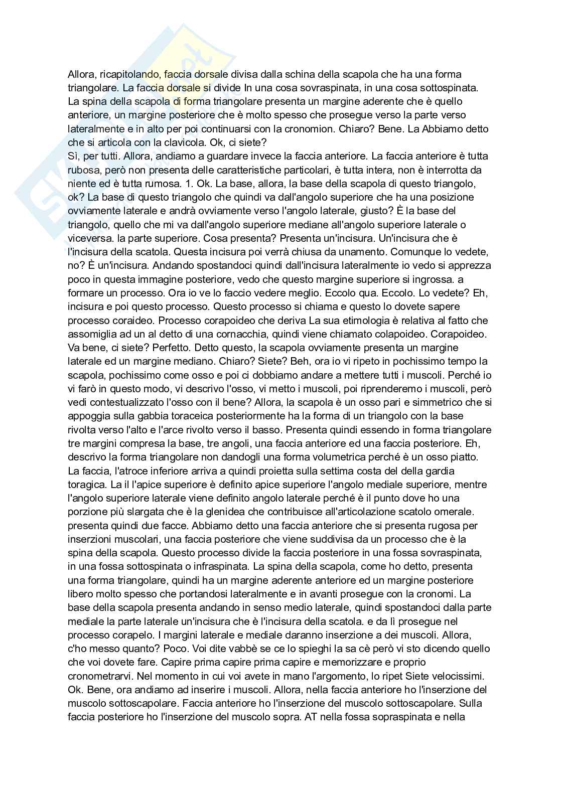 Anatomia 2 Pag. 41