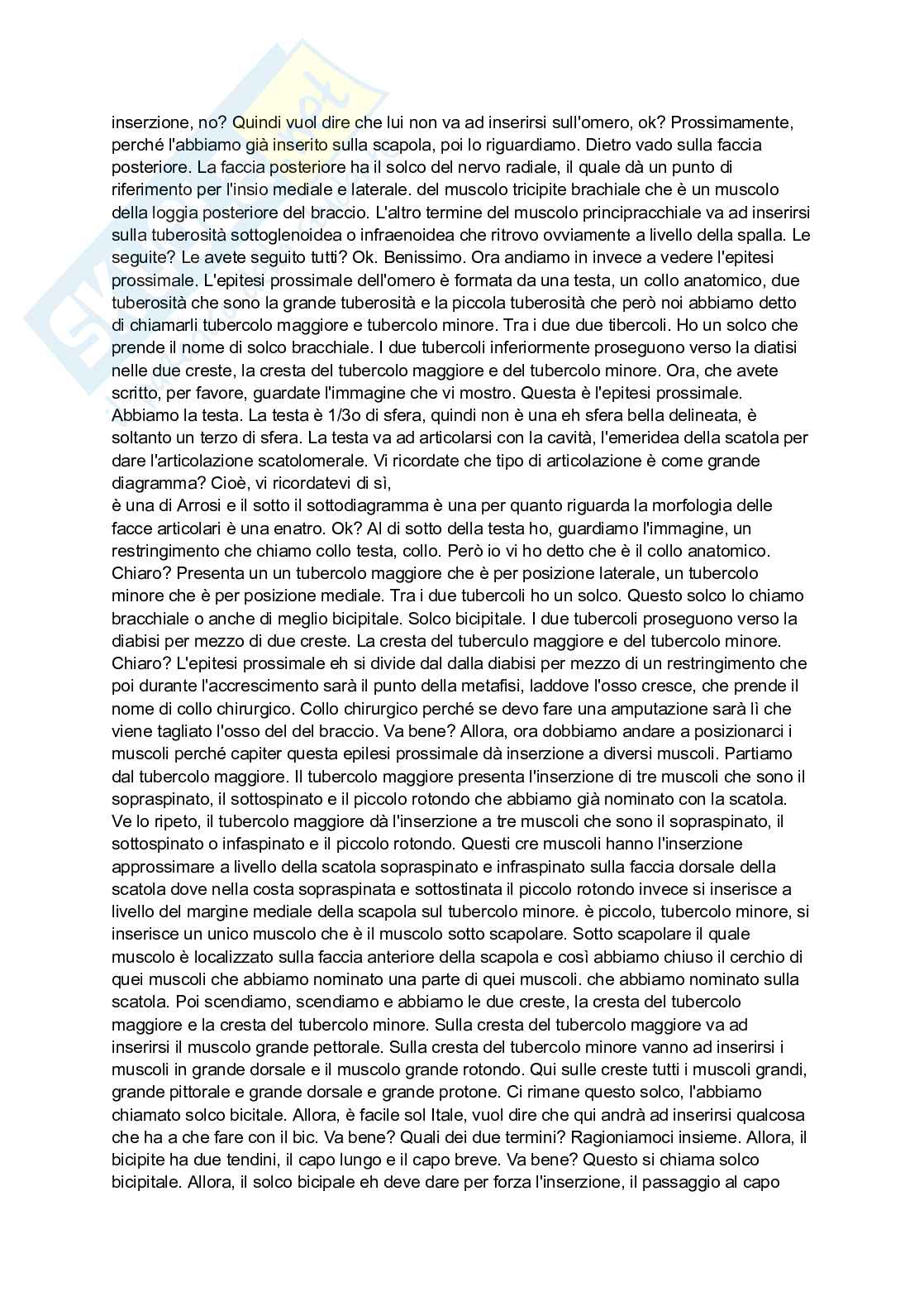 Anatomia 2 Pag. 46