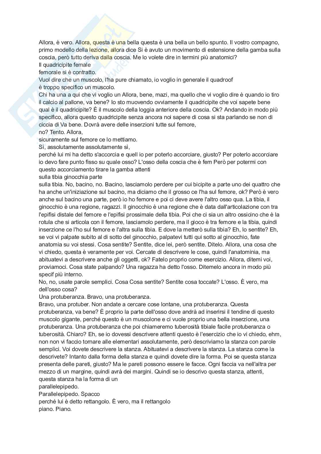 Anatomia 2 Pag. 6