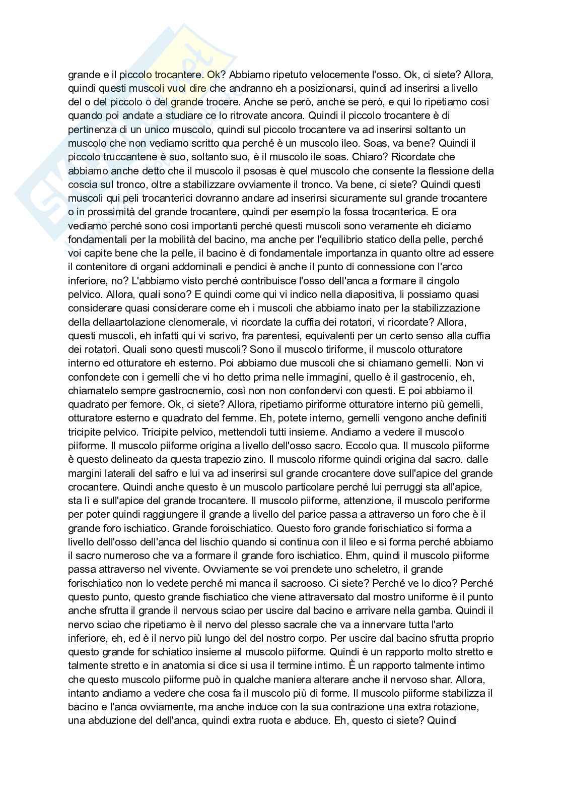 Anatomia 2 Pag. 91
