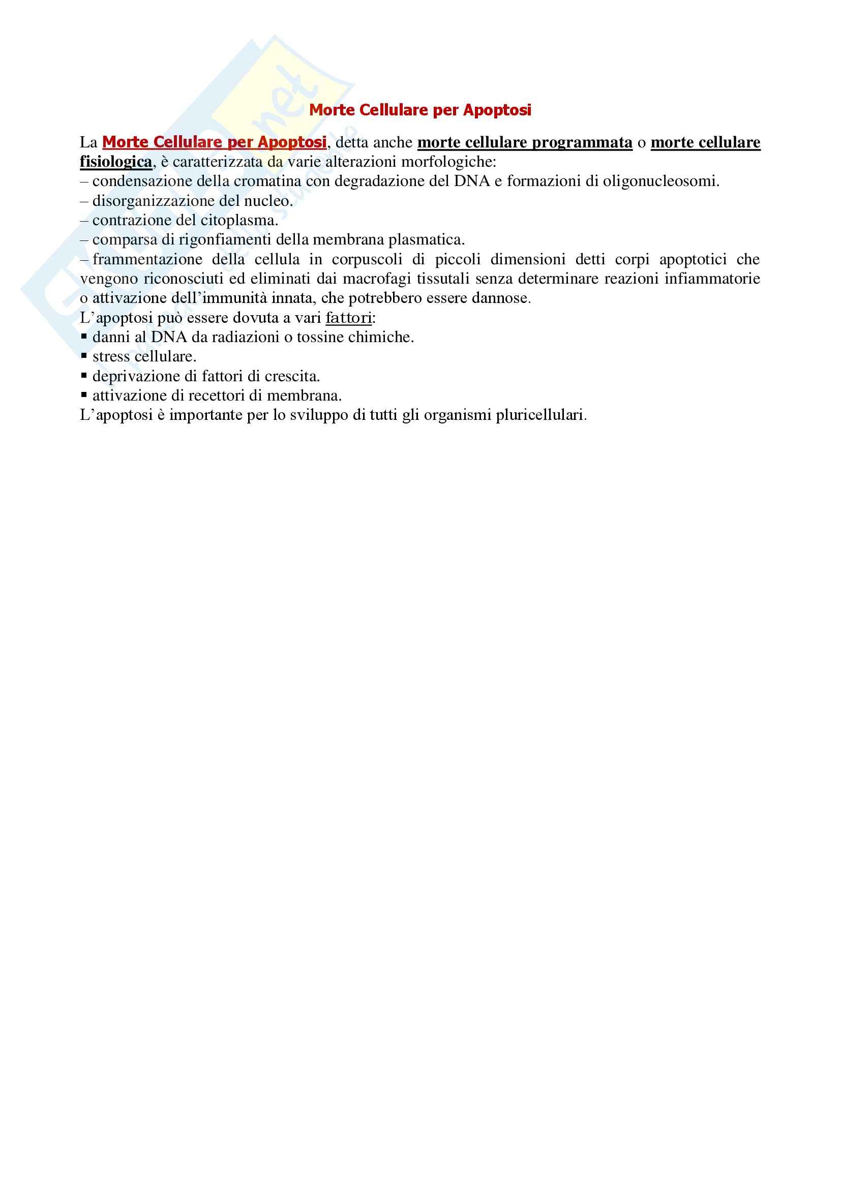 Immunologia - morte cellulare per apoptosi Pag. 1