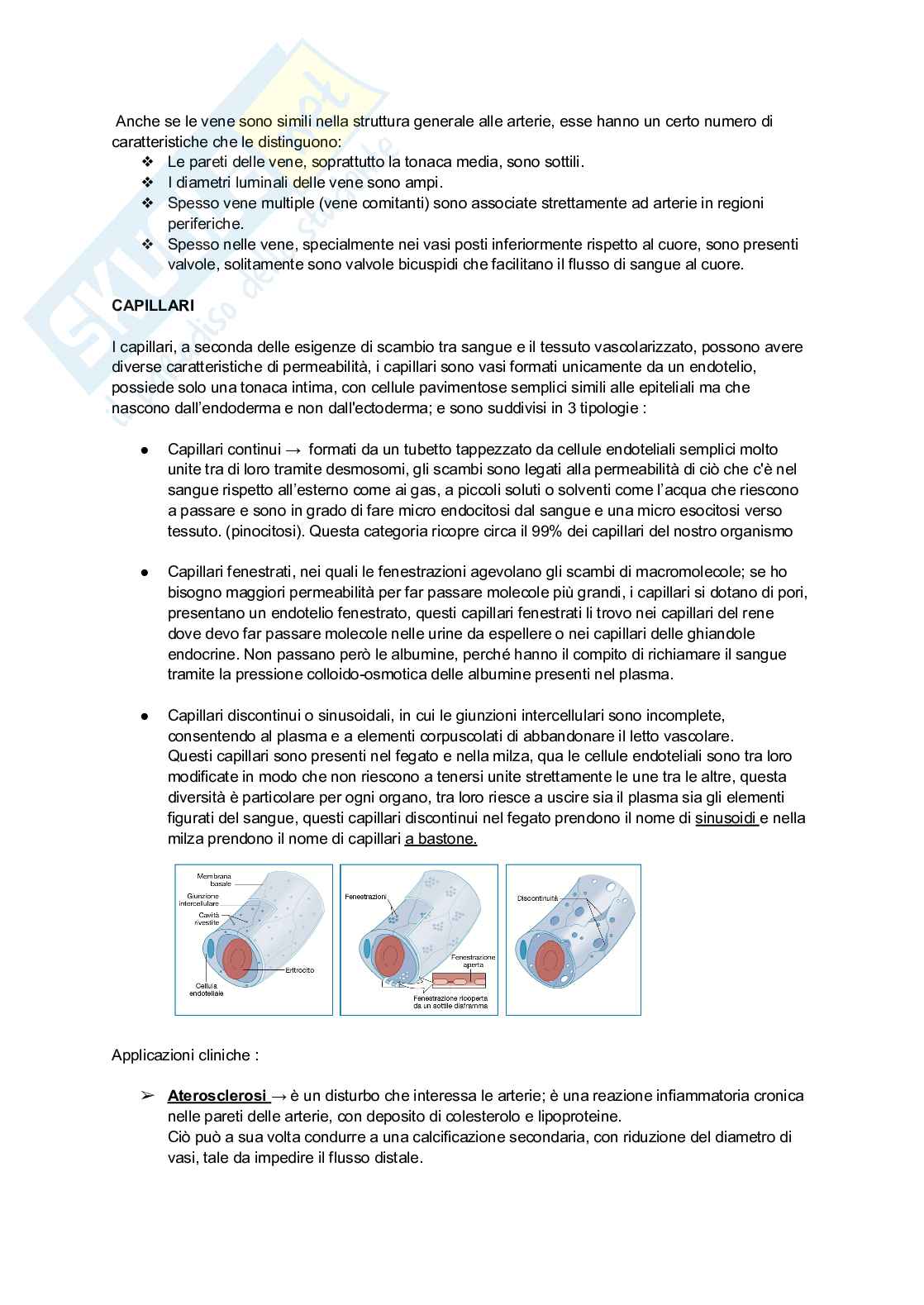 Anatomia umana - Primo parziale Pag. 11