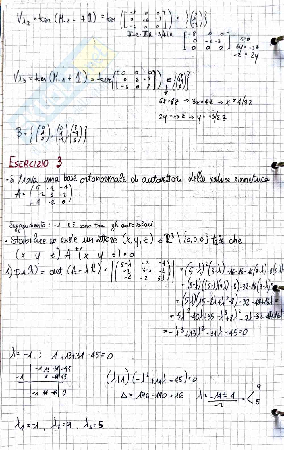 Geometria e algebra lineare: correzione completa secondo parziale Pag. 6
