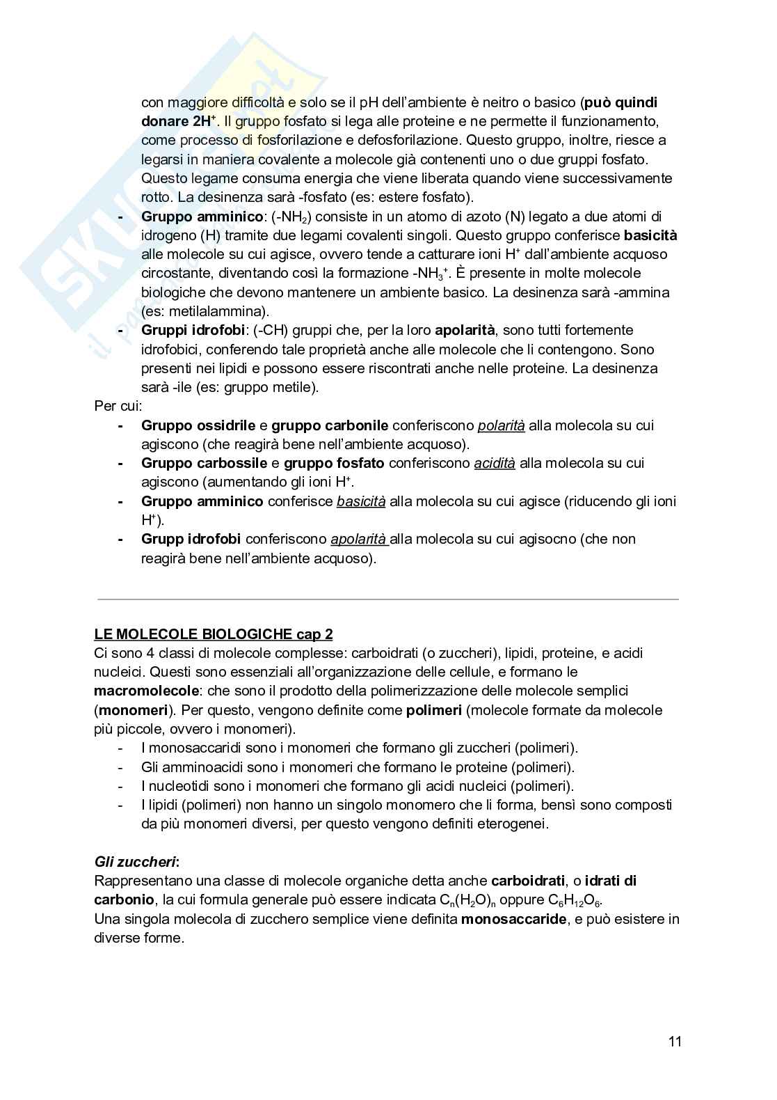 Riassunto esame Psicobiologia, Prof. Esposito Antonino, libro consigliato Basi biologiche dell'attività psichica, Mangia, Bevilacqua, Amicarelli, Fiorenza Pag. 11