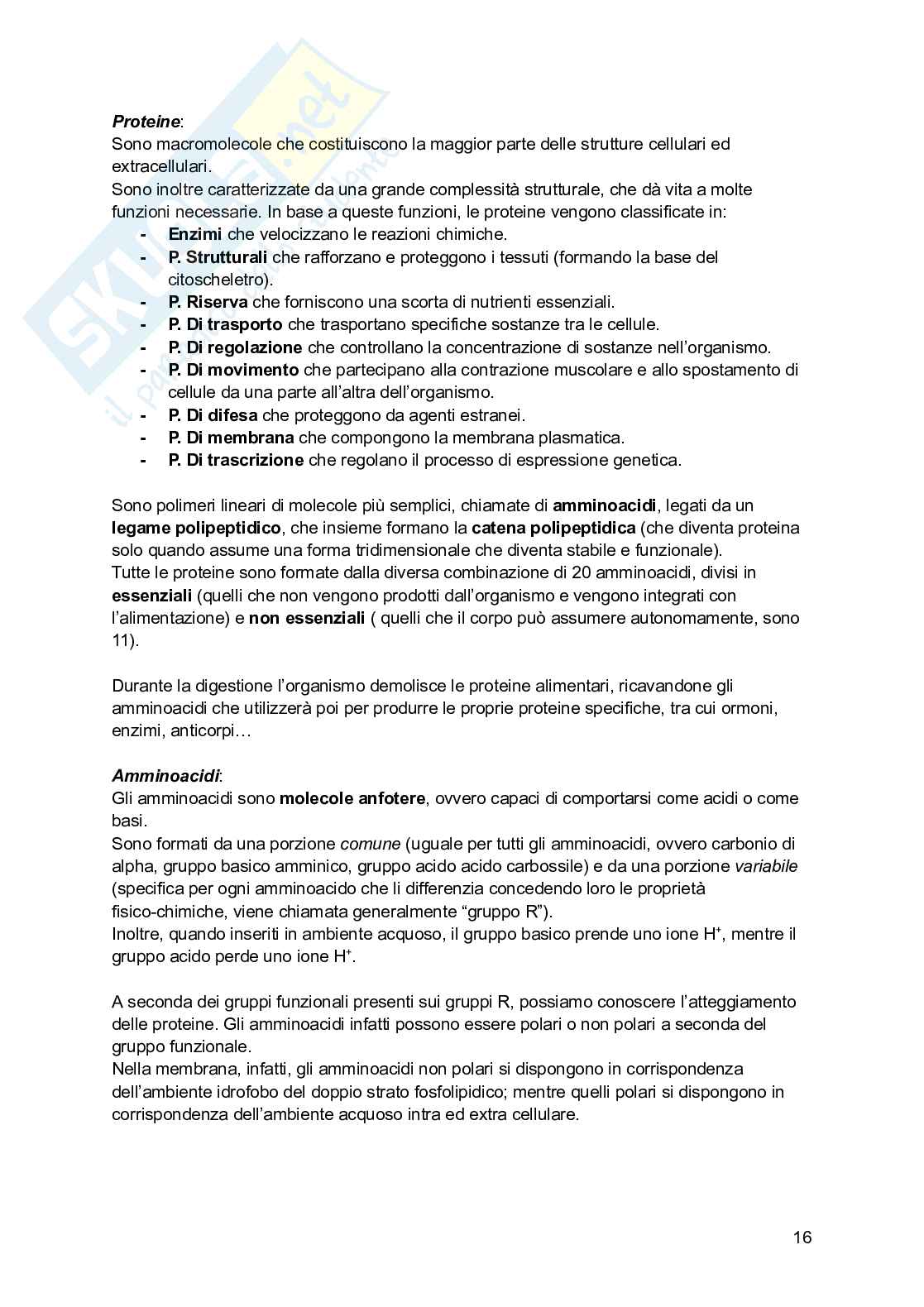 Riassunto esame Psicobiologia, Prof. Esposito Antonino, libro consigliato Basi biologiche dell'attività psichica, Mangia, Bevilacqua, Amicarelli, Fiorenza Pag. 16