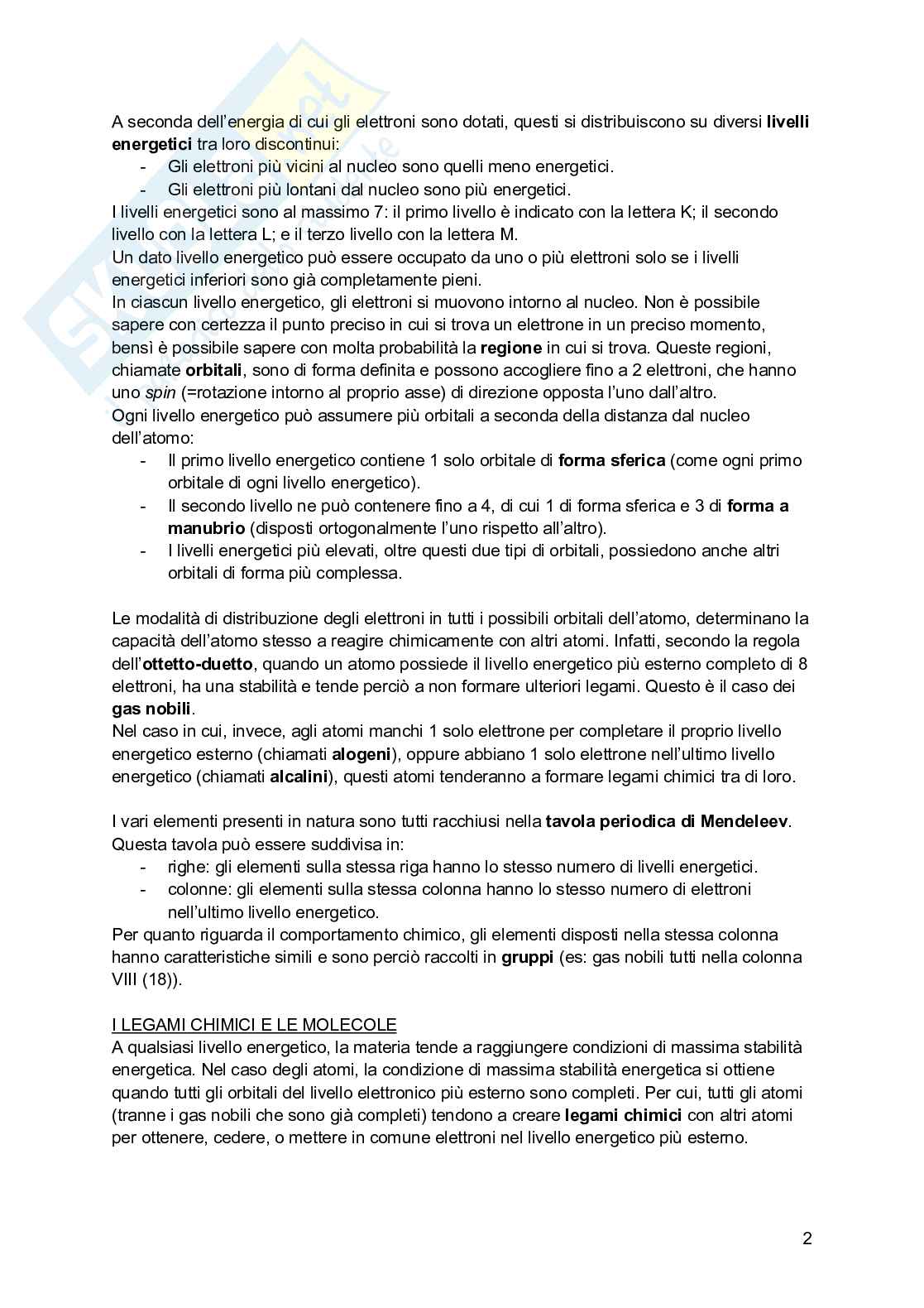 Riassunto esame Psicobiologia, Prof. Esposito Antonino, libro consigliato Basi biologiche dell'attività psichica, Mangia, Bevilacqua, Amicarelli, Fiorenza Pag. 2