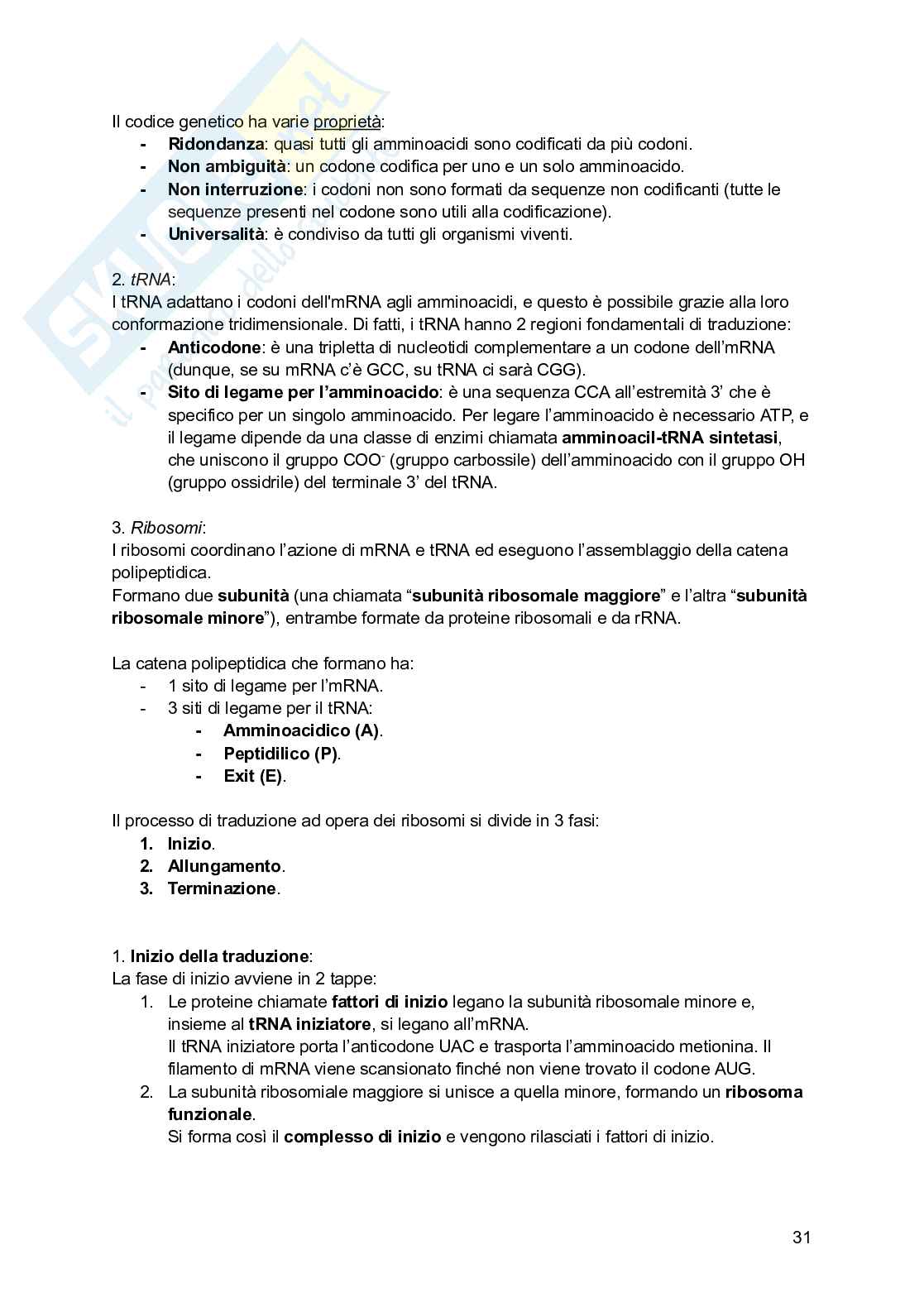 Riassunto esame Psicobiologia, Prof. Esposito Antonino, libro consigliato Basi biologiche dell'attività psichica, Mangia, Bevilacqua, Amicarelli, Fiorenza Pag. 31