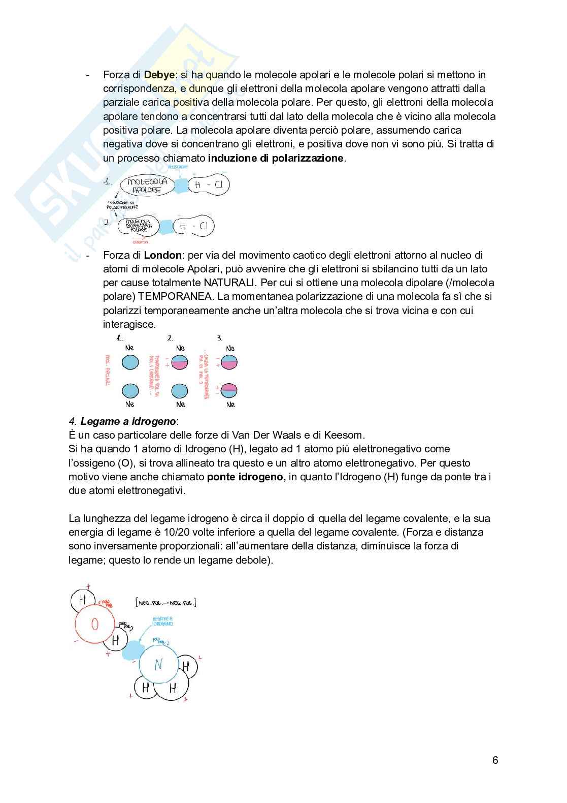 Riassunto esame Psicobiologia, Prof. Esposito Antonino, libro consigliato Basi biologiche dell'attività psichica, Mangia, Bevilacqua, Amicarelli, Fiorenza Pag. 6
