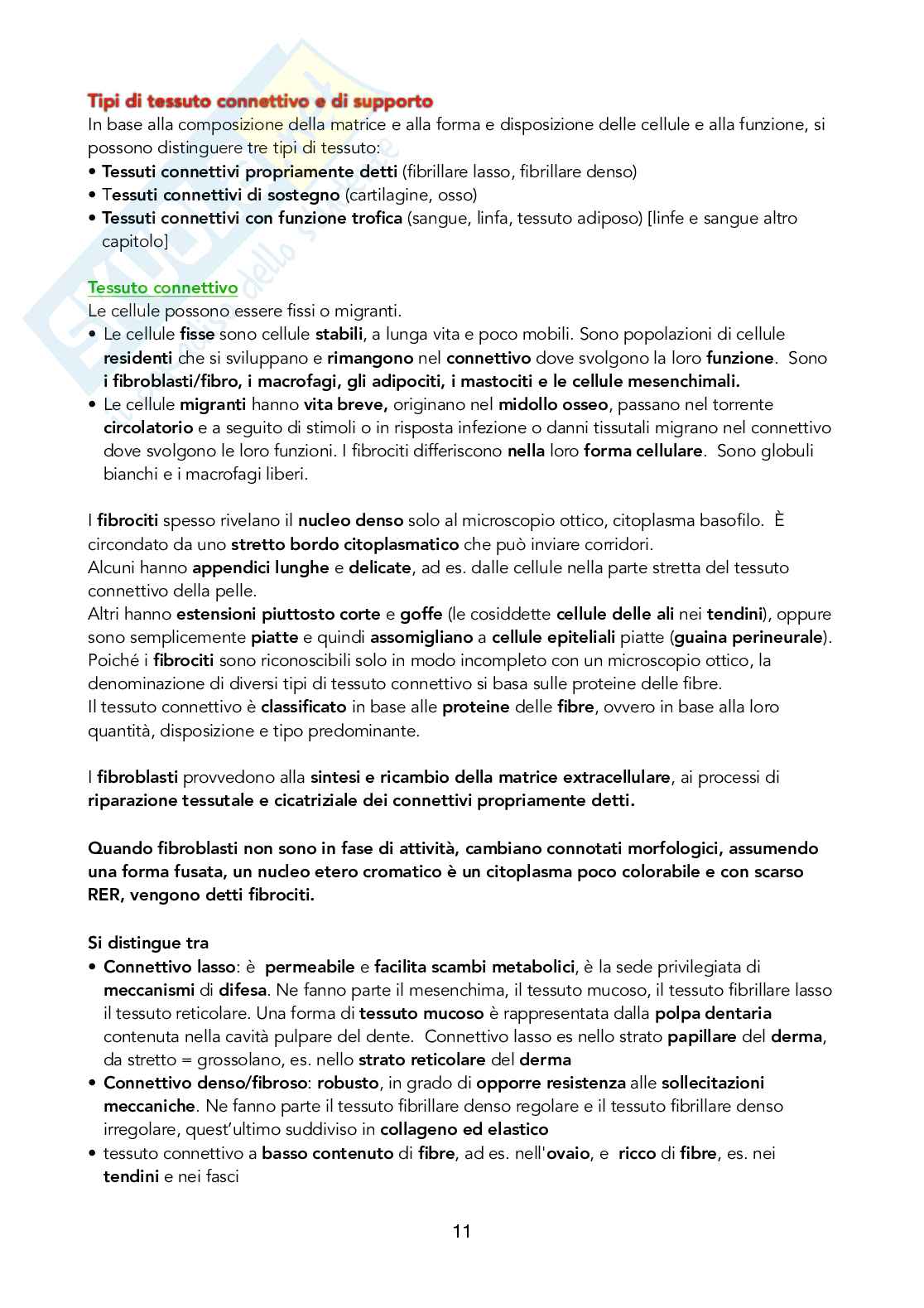 Istologia - Tessuto connettivo e di supporto Pag. 11