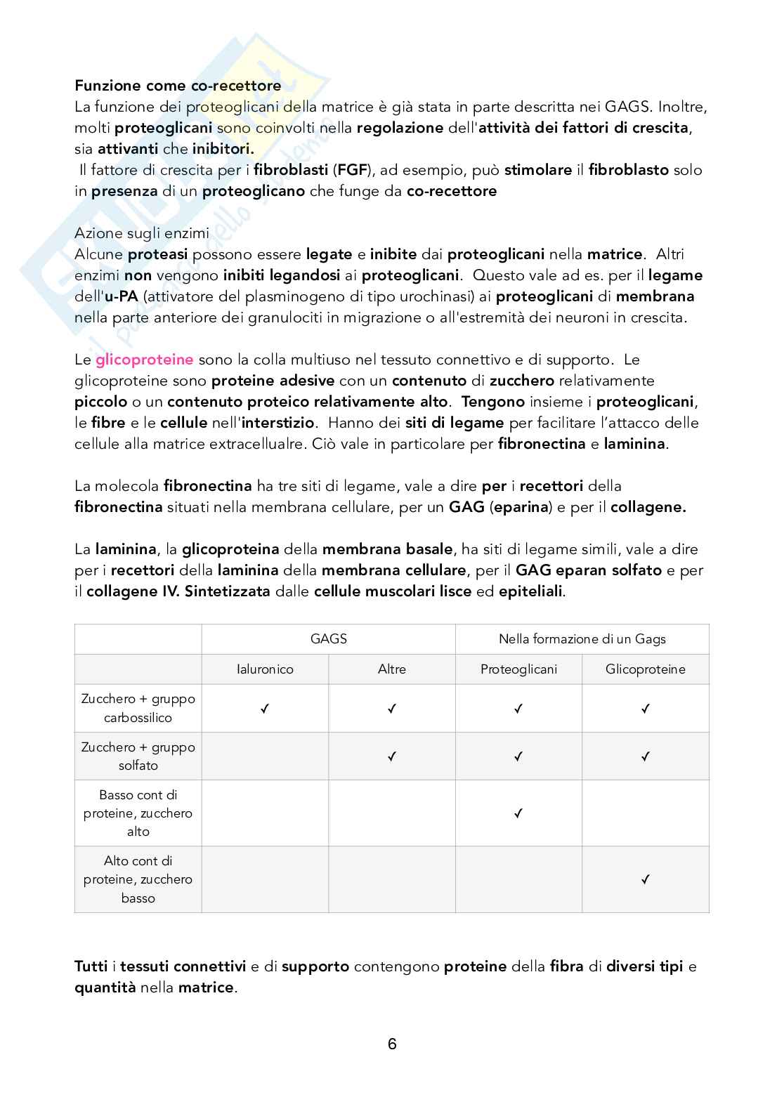 Istologia - Tessuto connettivo e di supporto Pag. 6