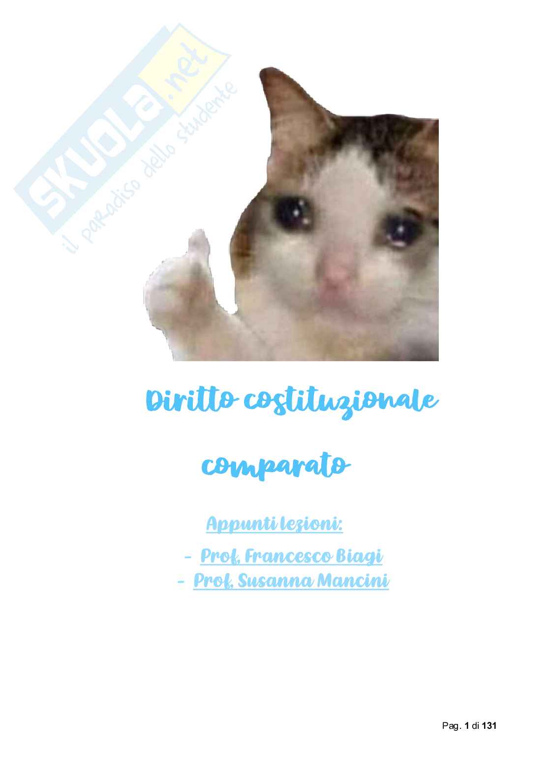 Riassunto esame Diritto costituzionale comparato, Prof. Biagi Francesco, libro consigliato Diritto costituzionale comparato, De Vergottini Pag. 1