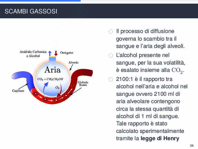 Smart Ethylometer - Tesina Pag. 91