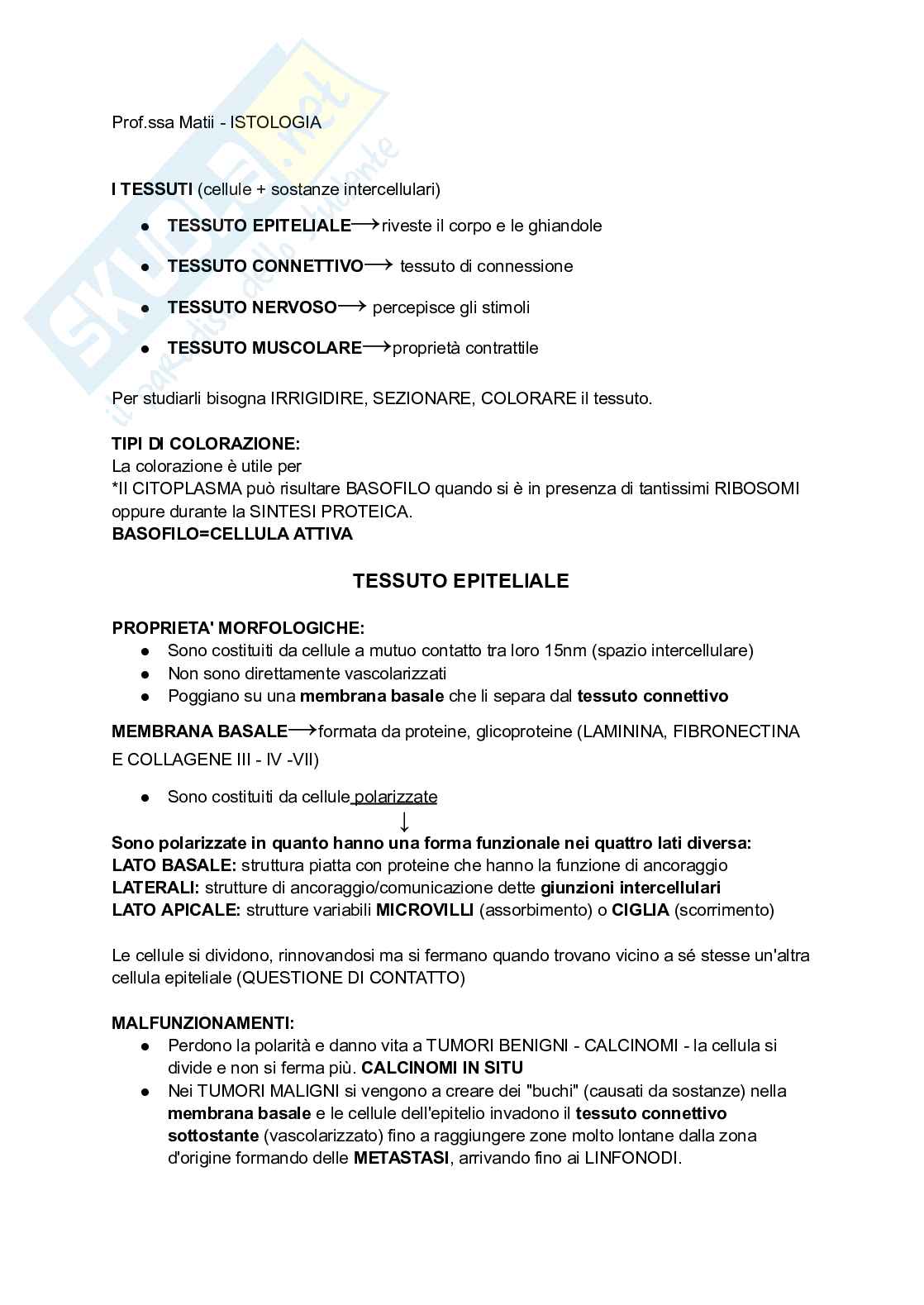 Appunti parte di Istologia Pag. 1