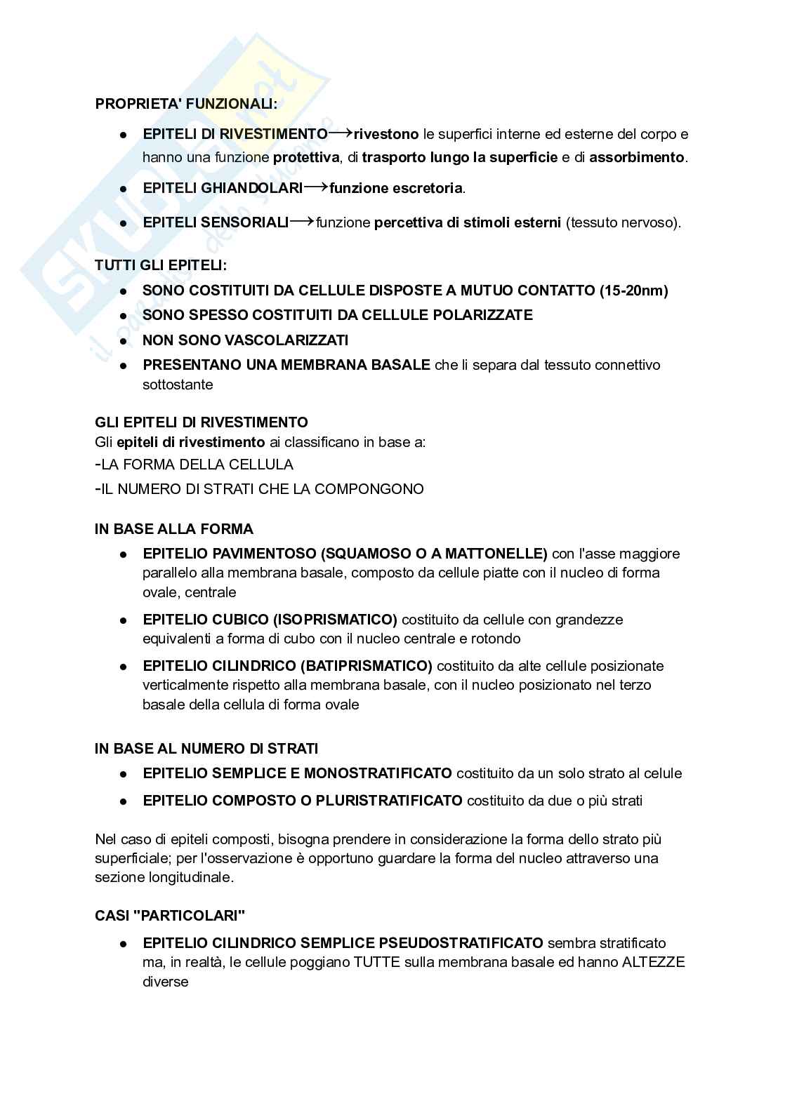 Appunti parte di Istologia Pag. 2