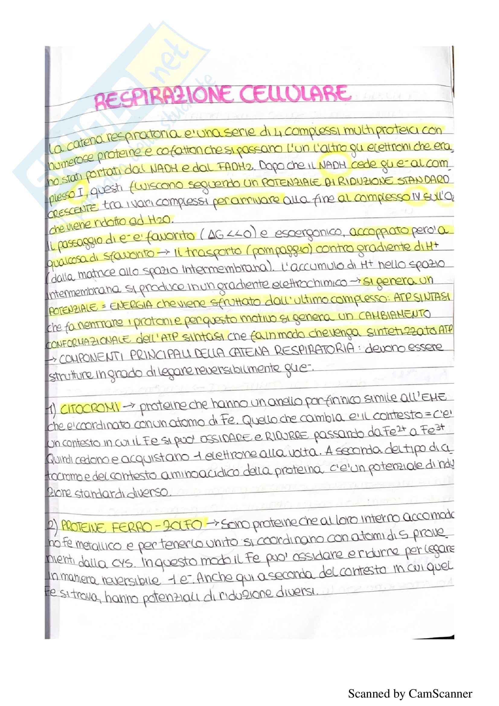 Appunti completi biochimica (quarta parte) Pag. 2