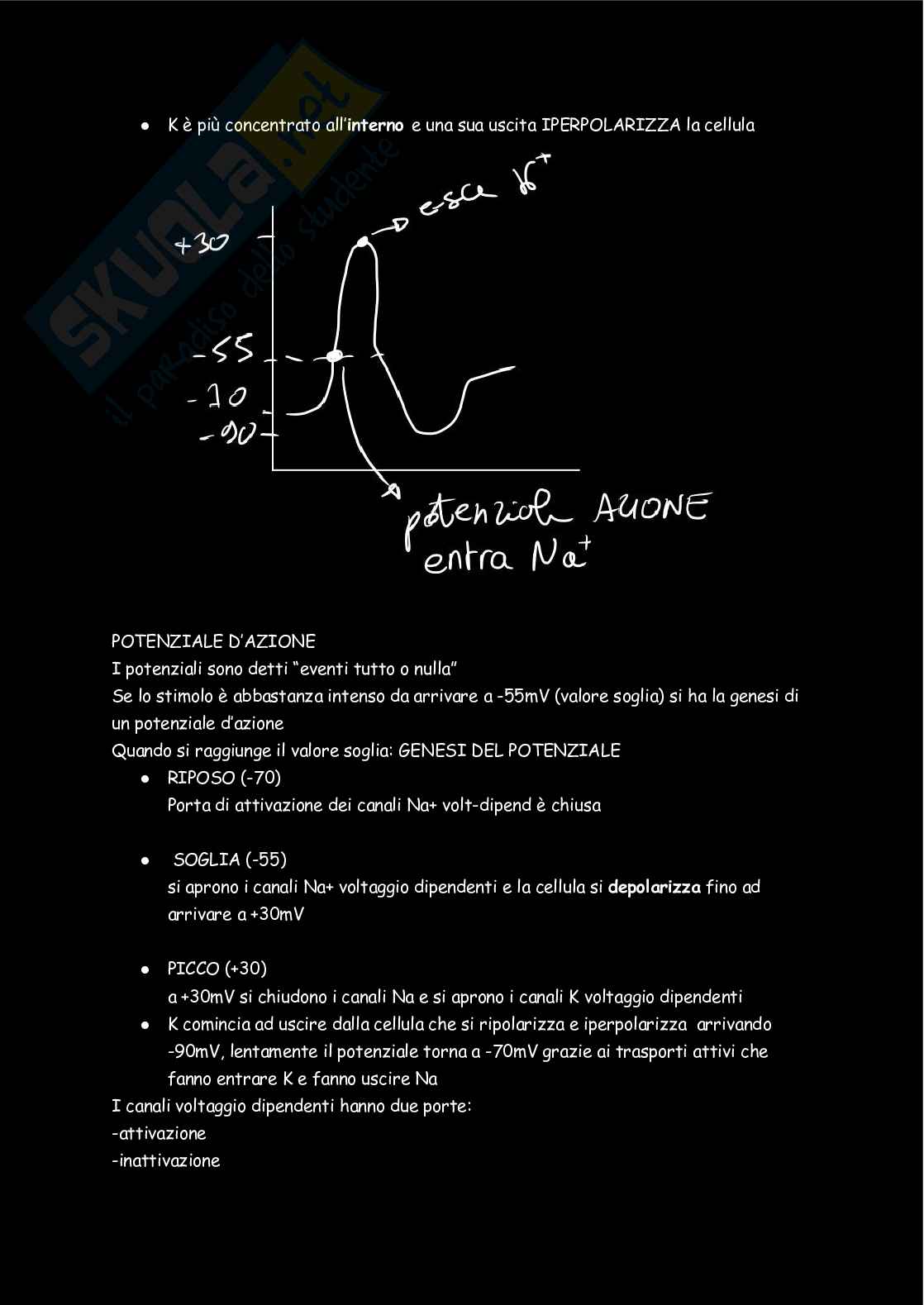 Fisiologia  Pag. 2