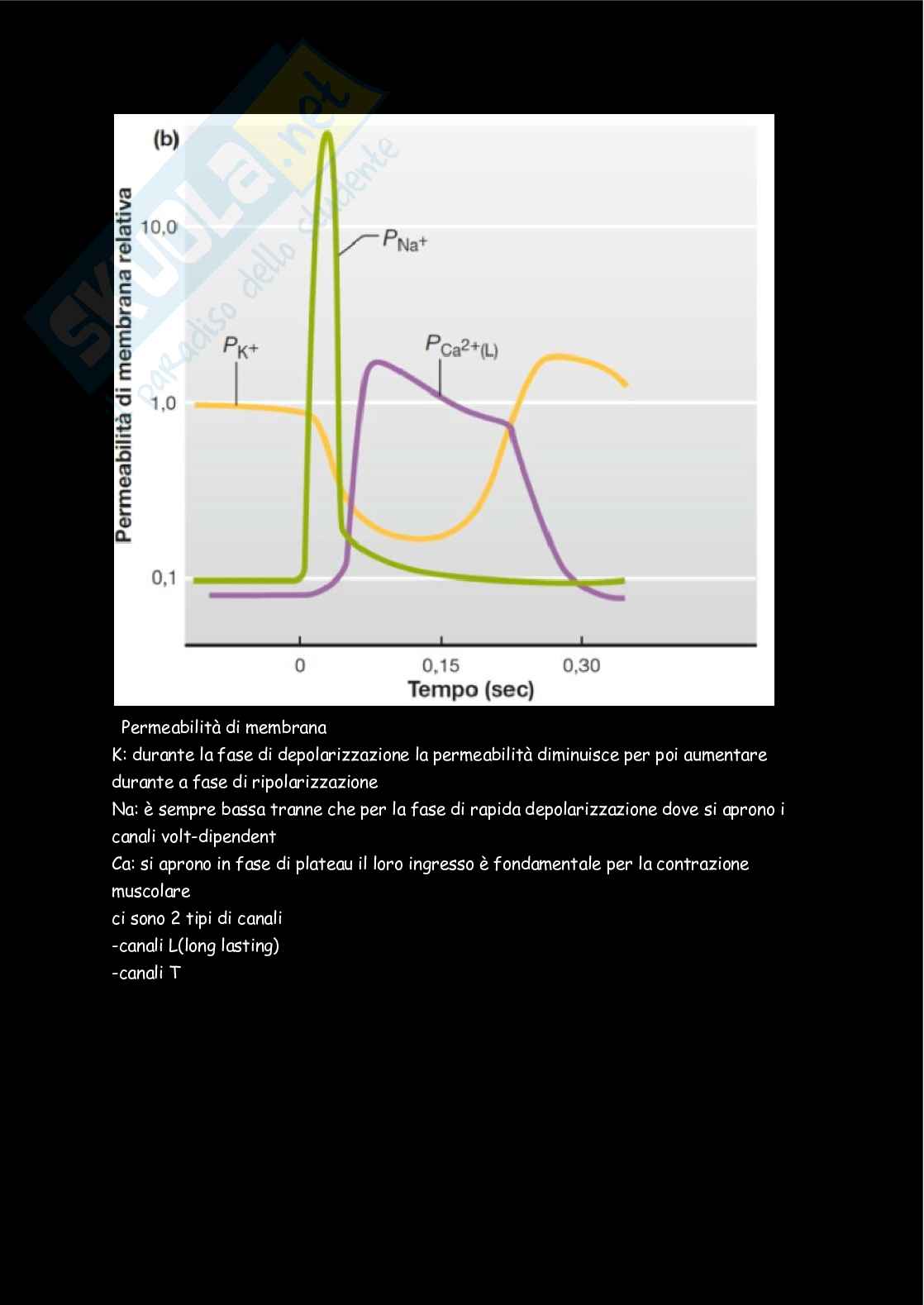 Fisiologia  Pag. 21