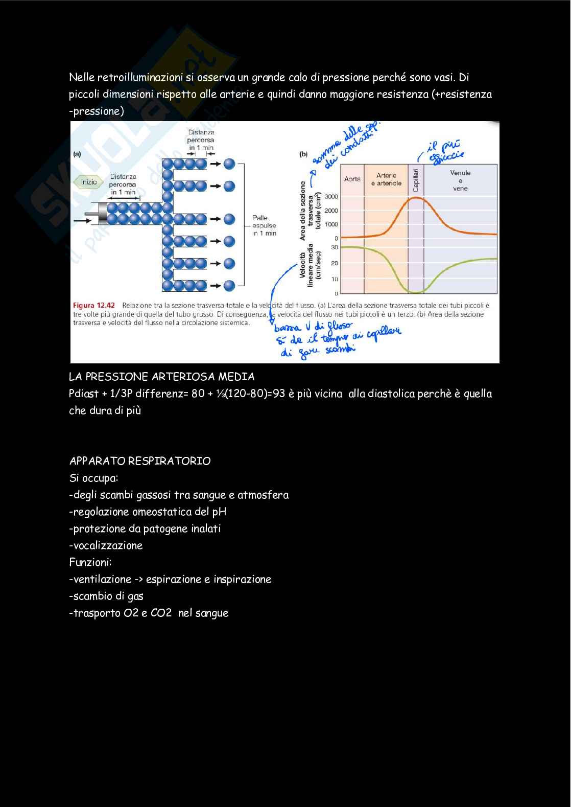 Fisiologia  Pag. 36
