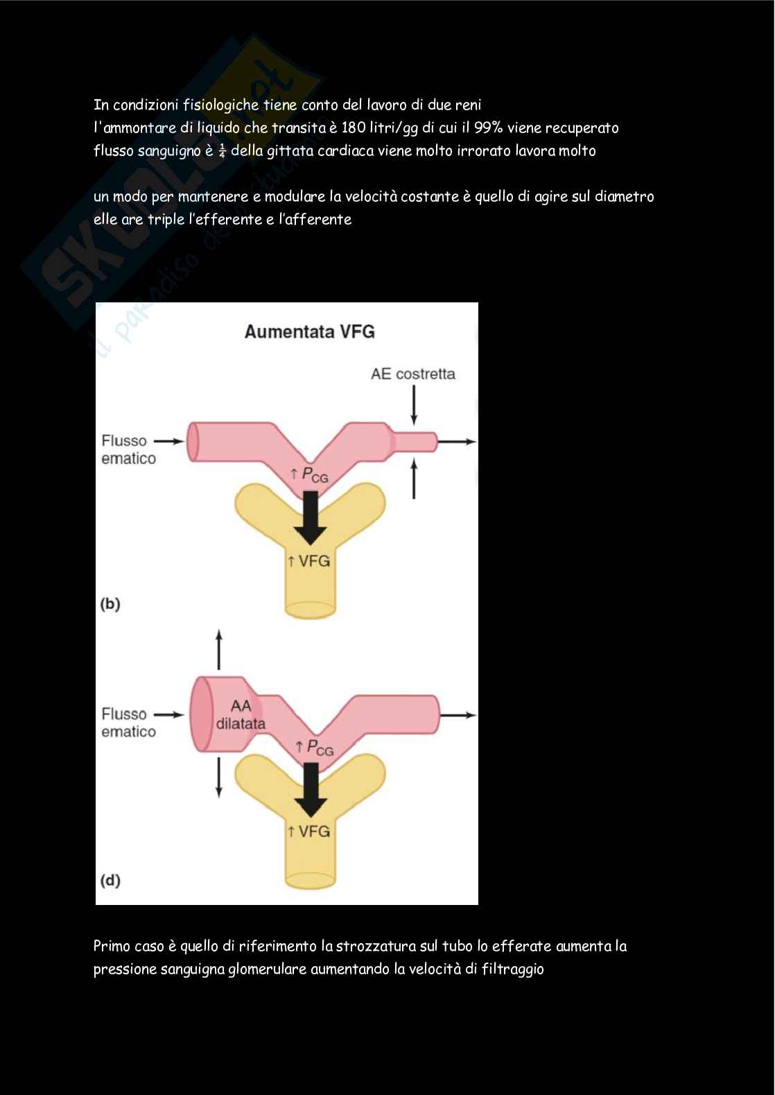 Fisiologia  Pag. 56
