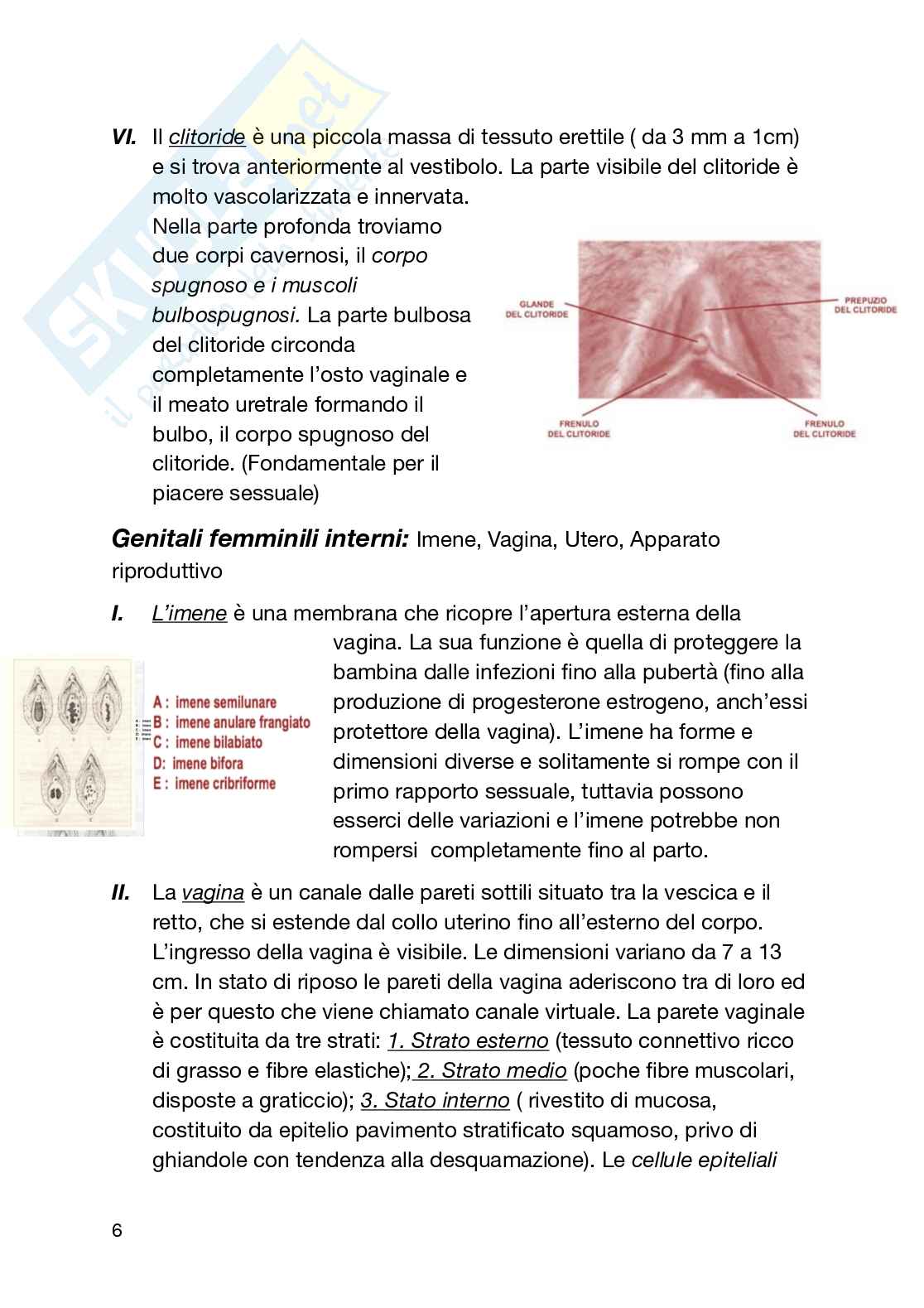 Psiclogia e psicopatologia della sessualità Pag. 6