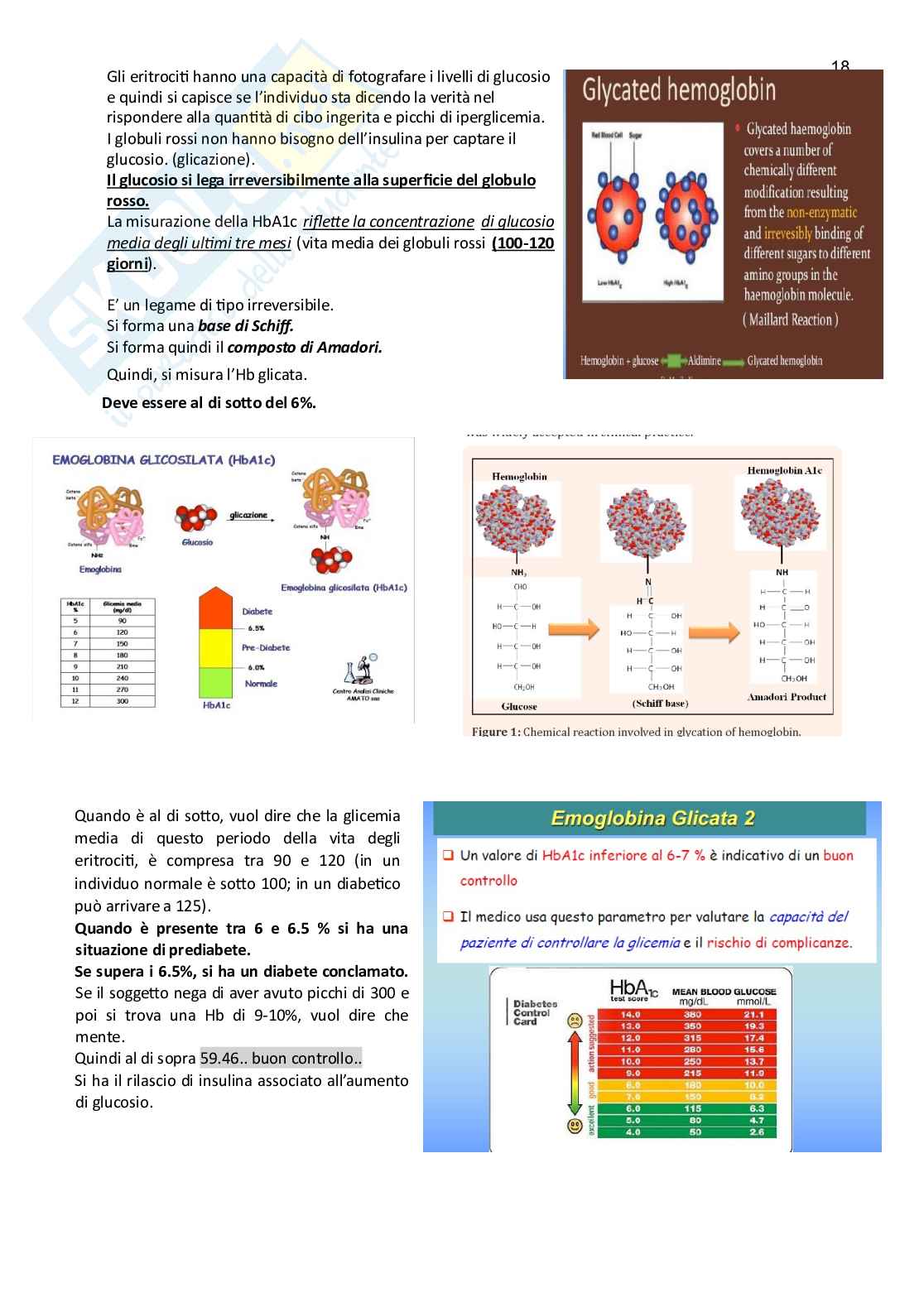 Farmacoterapia 2 - Parte 2.2 di 4 sul diabete Pag. 1