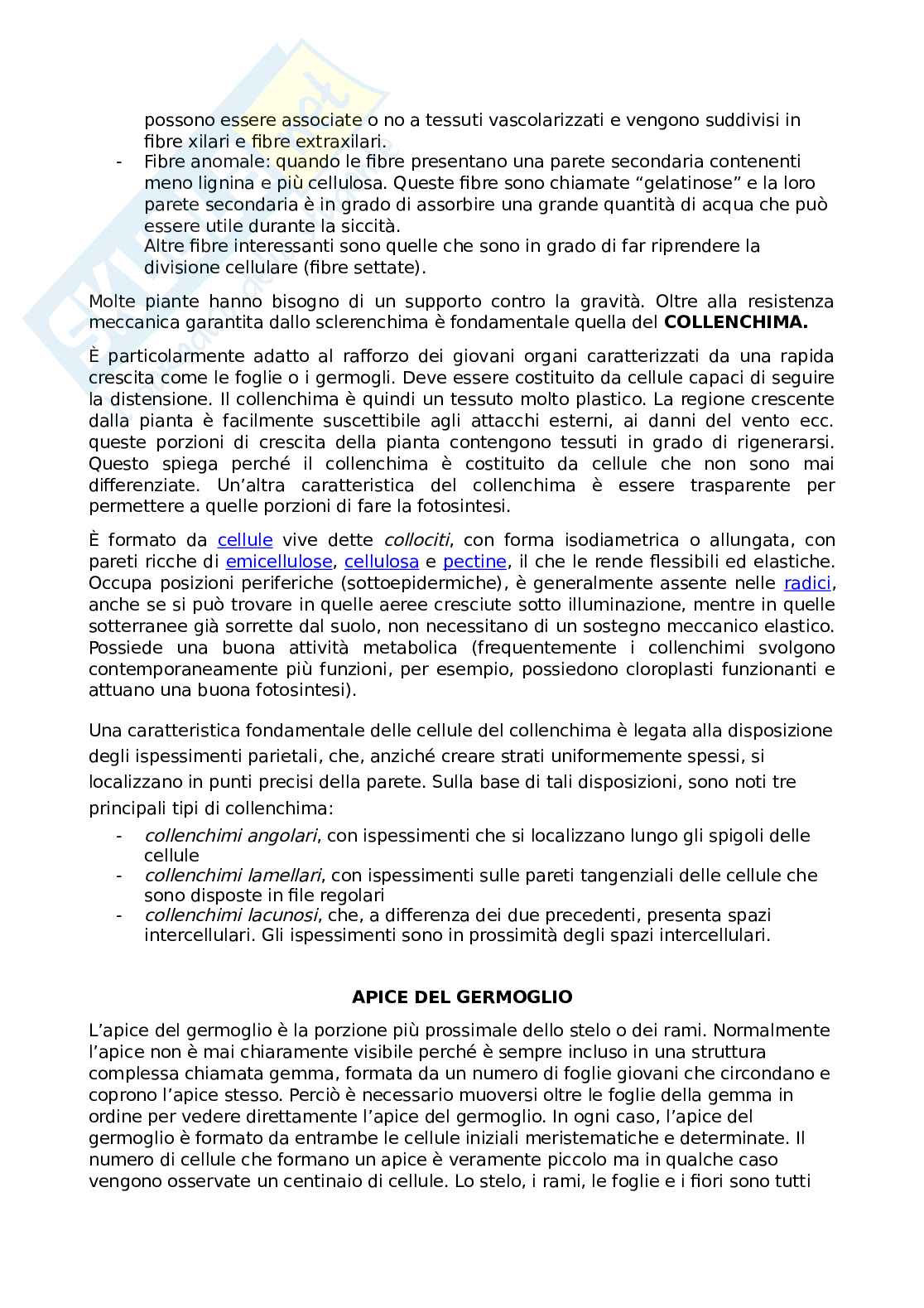 Biologia vegetale Pag. 21