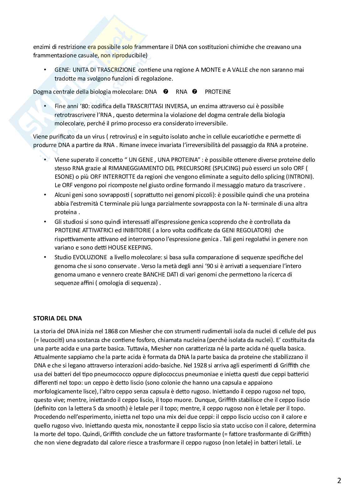 Biologia molecolare Pag. 2