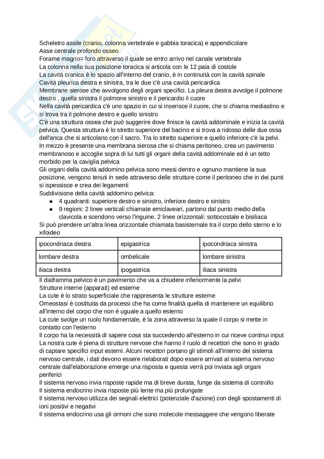 Anatomia degli organi e del sistema nervoso Pag. 1
