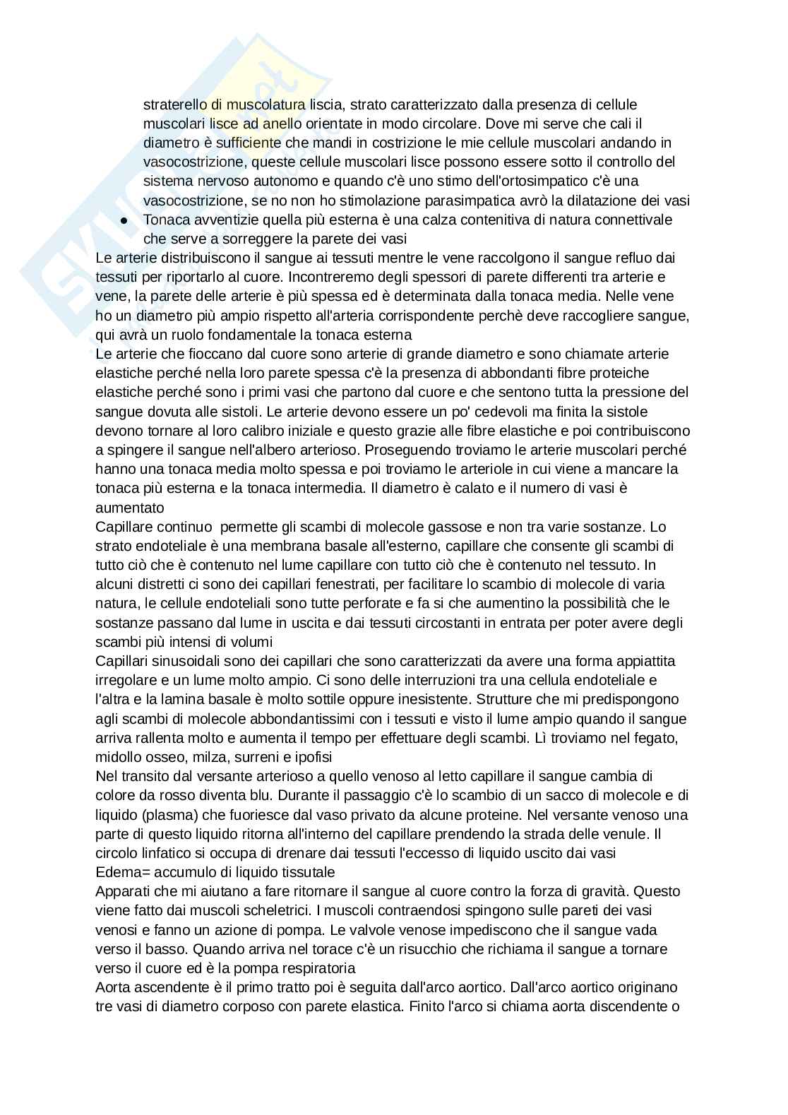Anatomia degli organi e del sistema nervoso Pag. 11