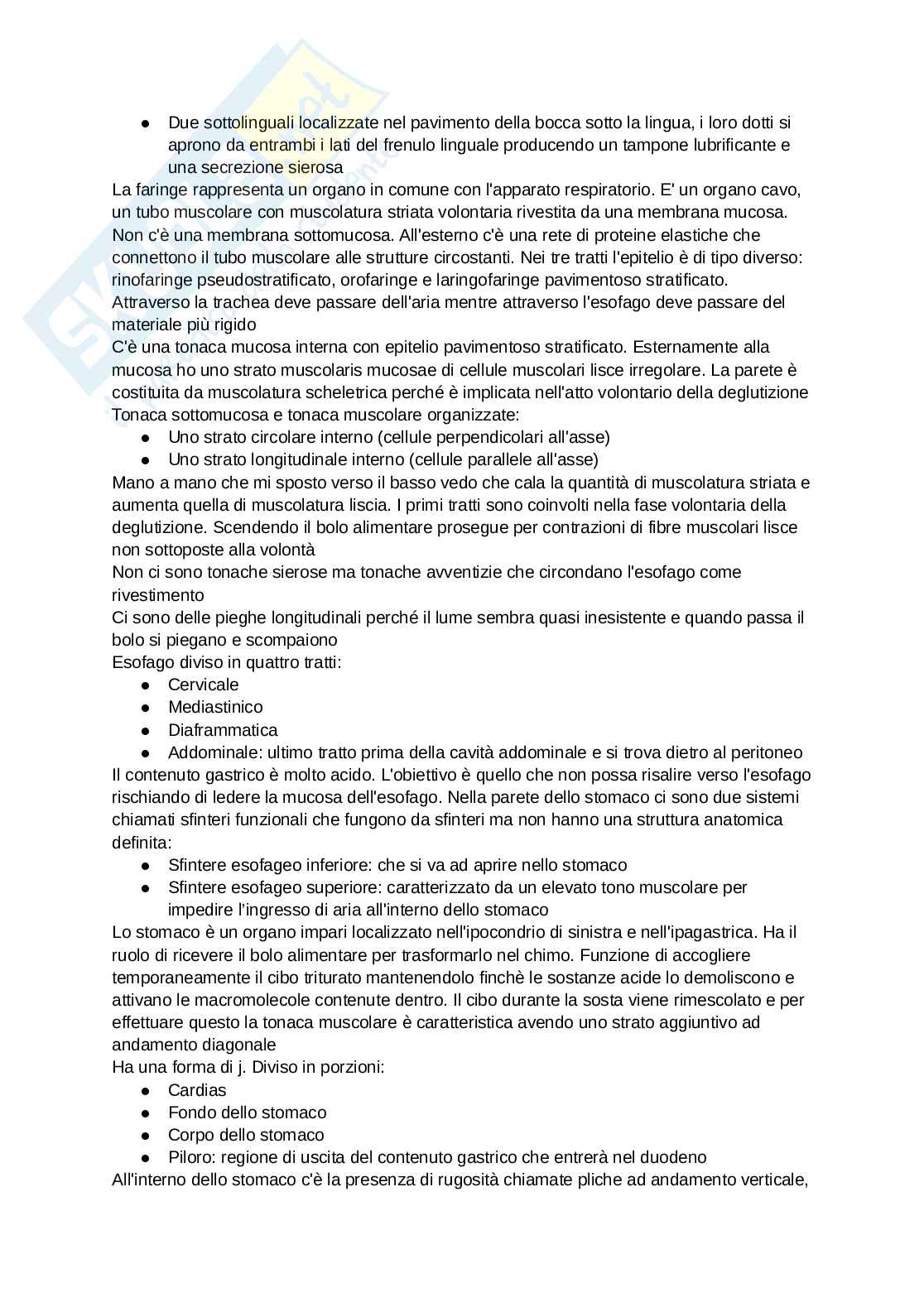 Anatomia degli organi e del sistema nervoso Pag. 16
