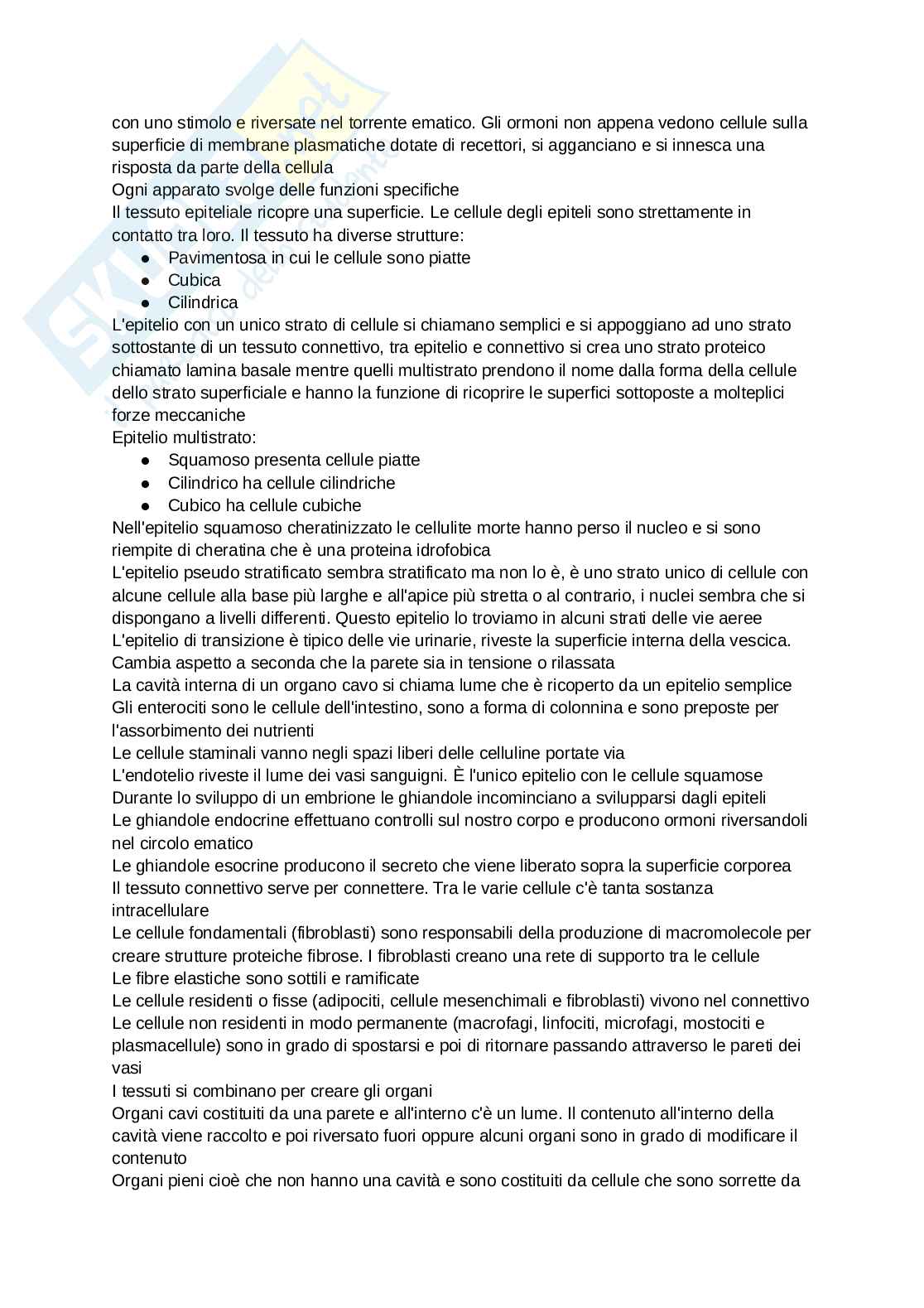 Anatomia degli organi e del sistema nervoso Pag. 2