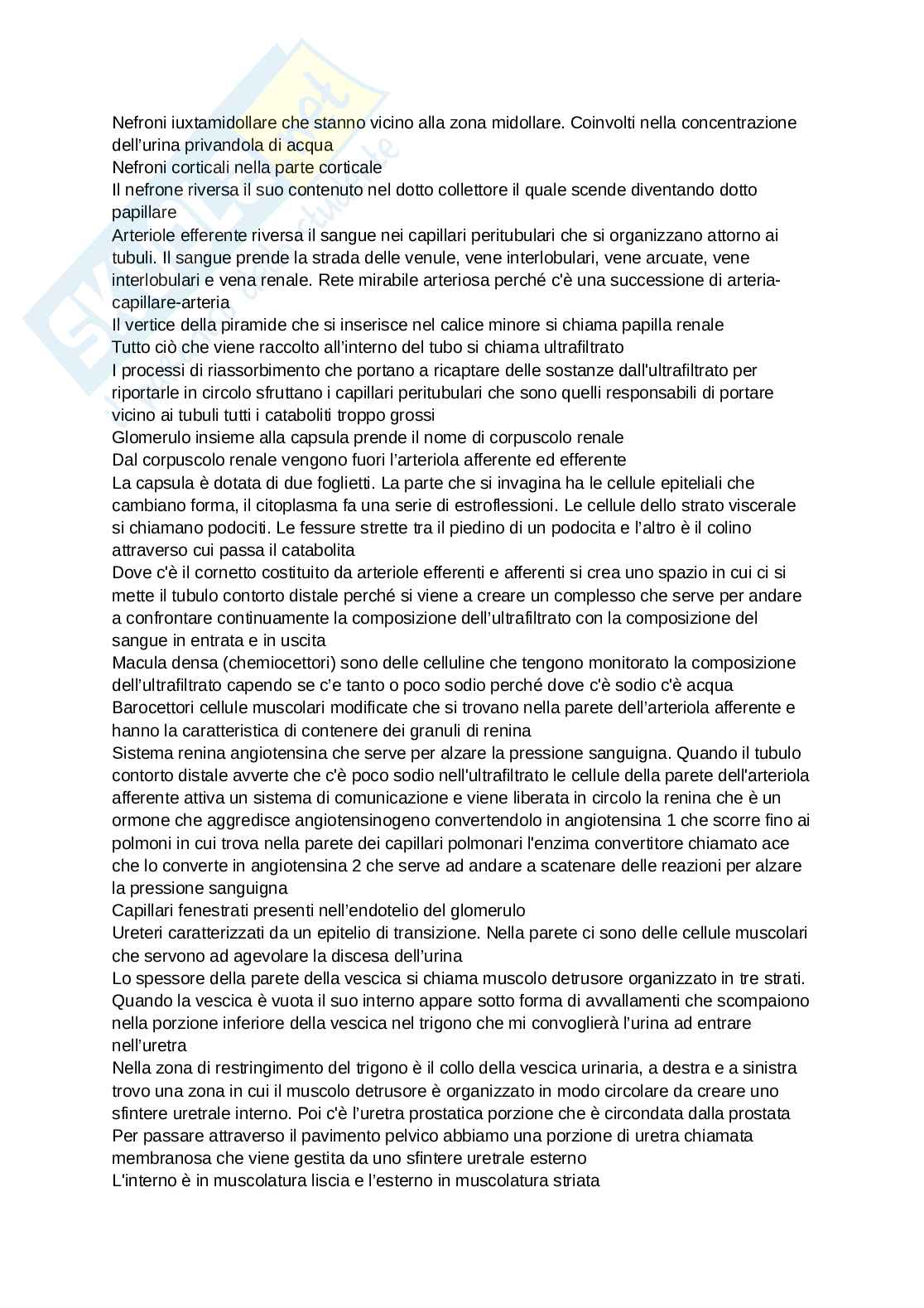 Anatomia degli organi e del sistema nervoso Pag. 21