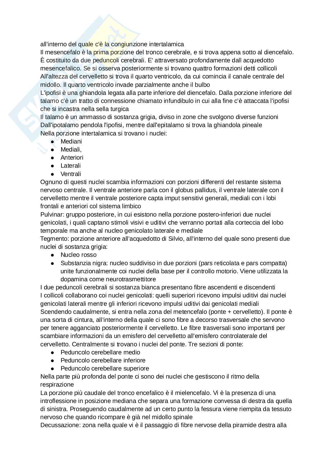 Anatomia degli organi e del sistema nervoso Pag. 26