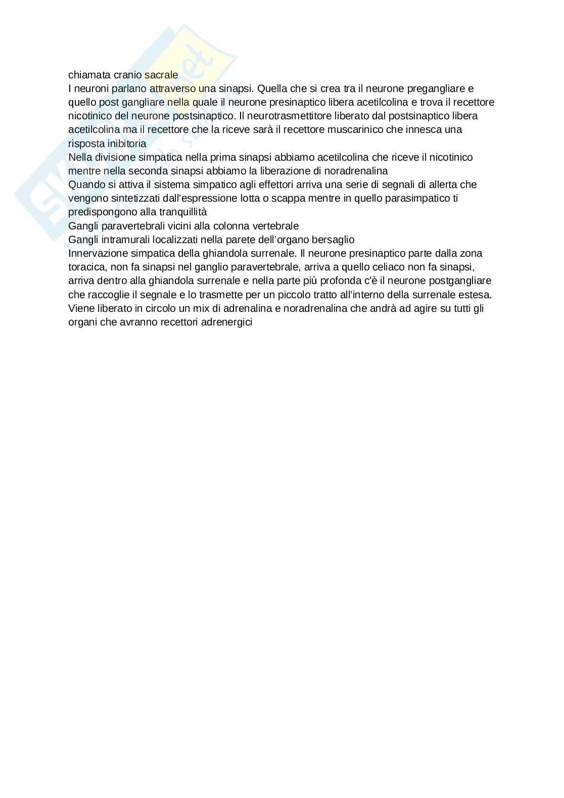 Anatomia degli organi e del sistema nervoso Pag. 31