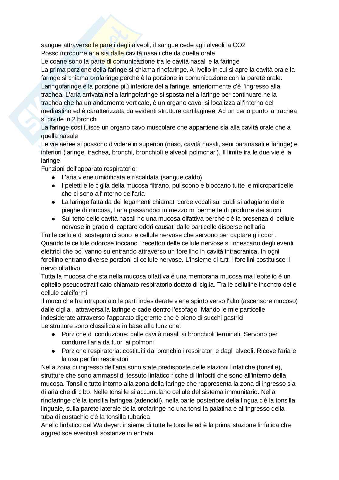 Anatomia degli organi e del sistema nervoso Pag. 6