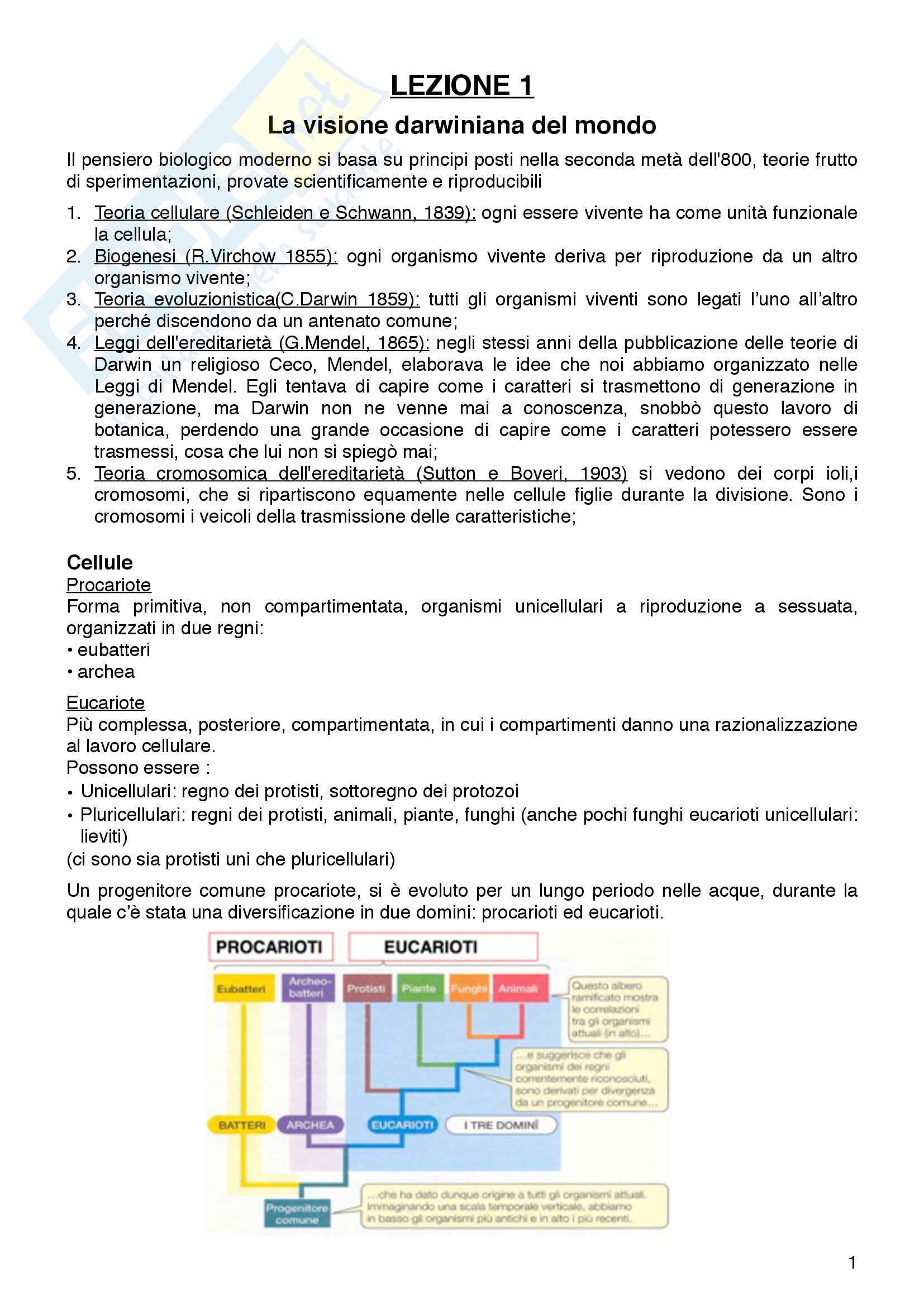 Biologia - la visione darwiniana del mondo Pag. 1