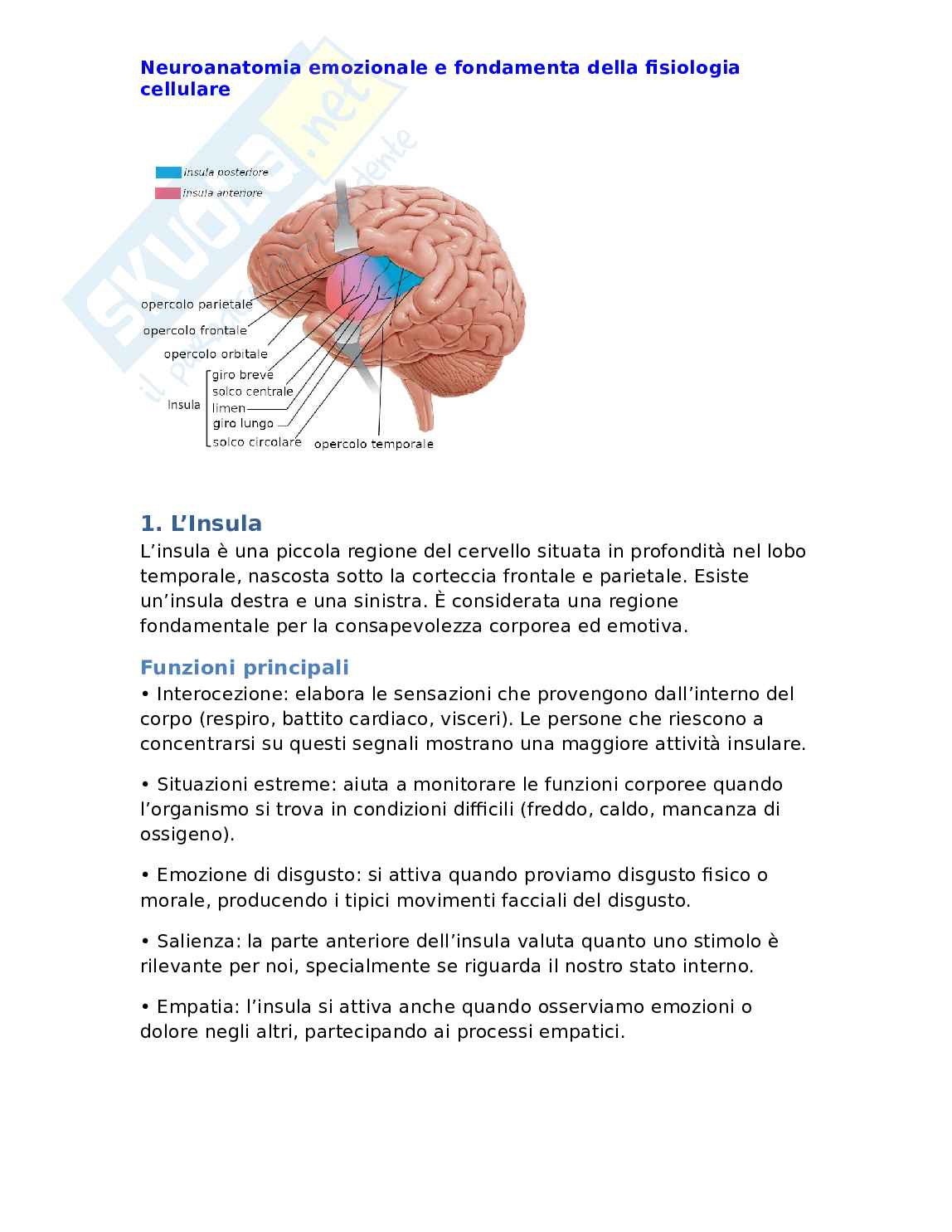 Neuroanatomia emozionale e fondamenti della fisiologia cellulare Pag. 1
