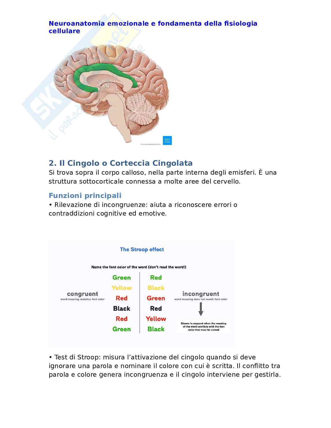 Neuroanatomia emozionale e fondamenti della fisiologia cellulare Pag. 2