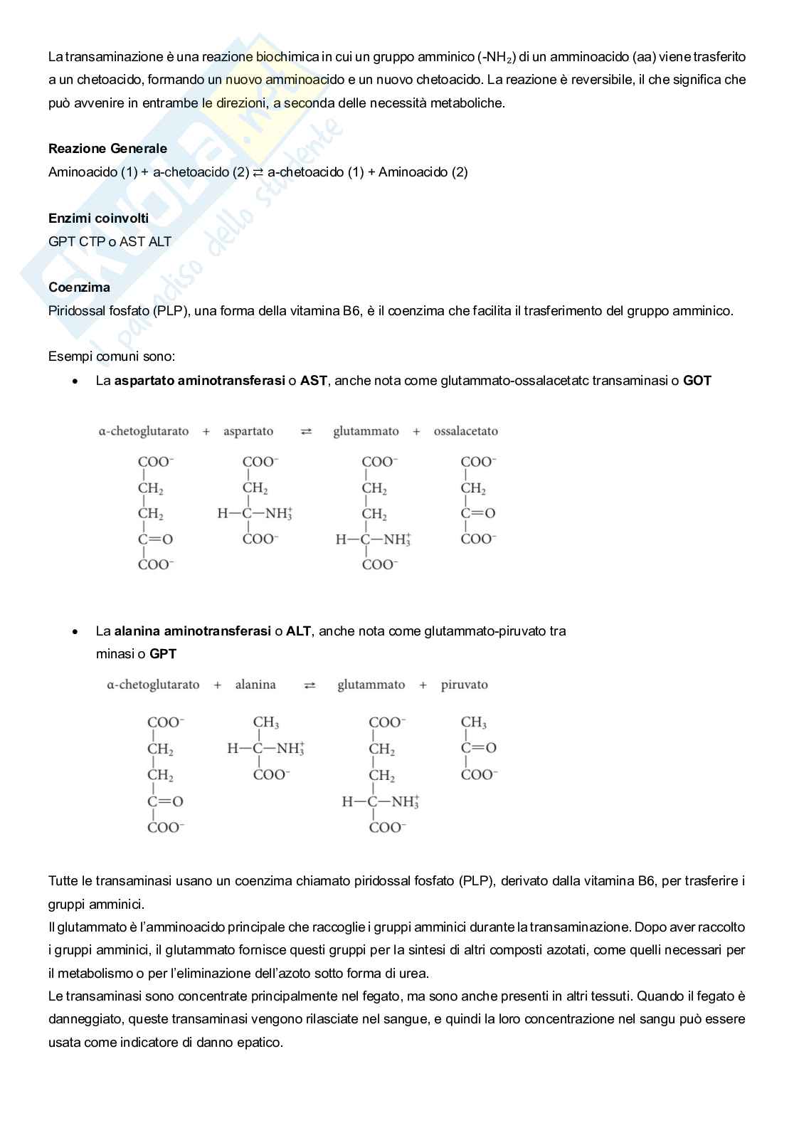Metabolismo cellulare  Pag. 16
