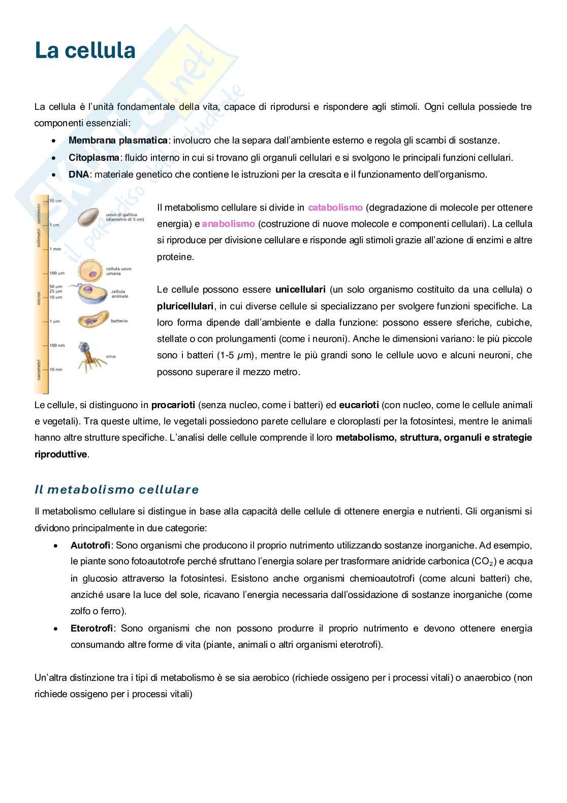 Metabolismo cellulare  Pag. 2