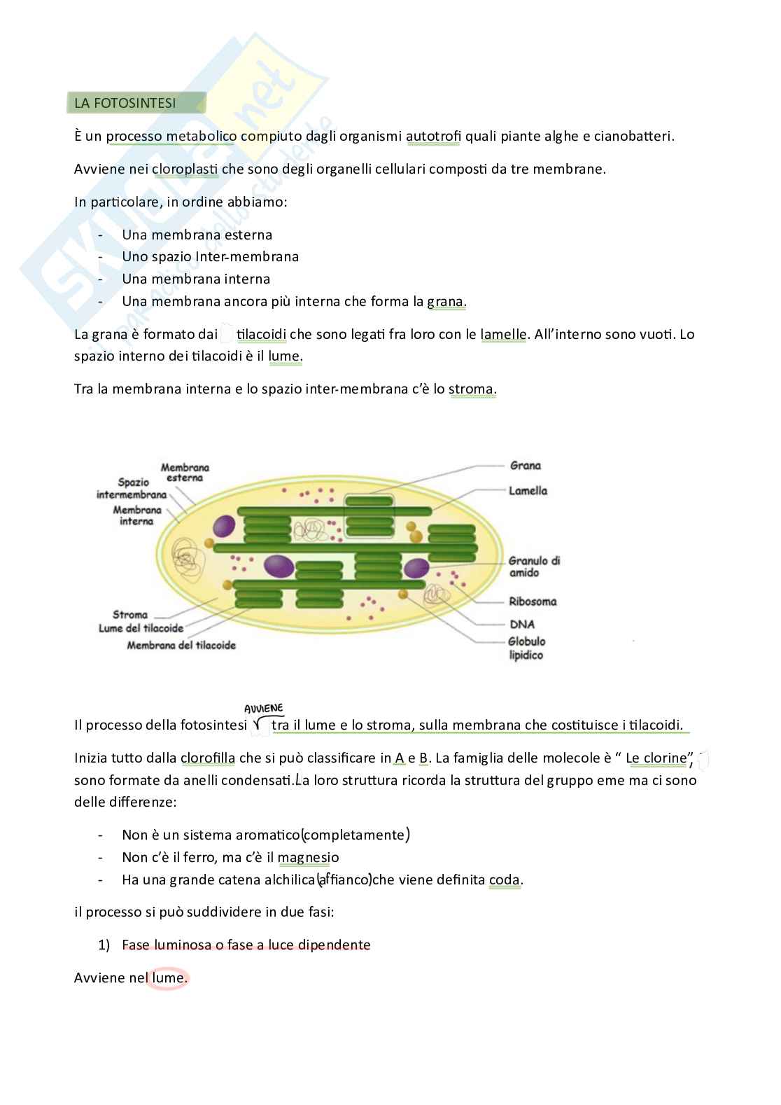 Metabolismo cellulare  Pag. 21