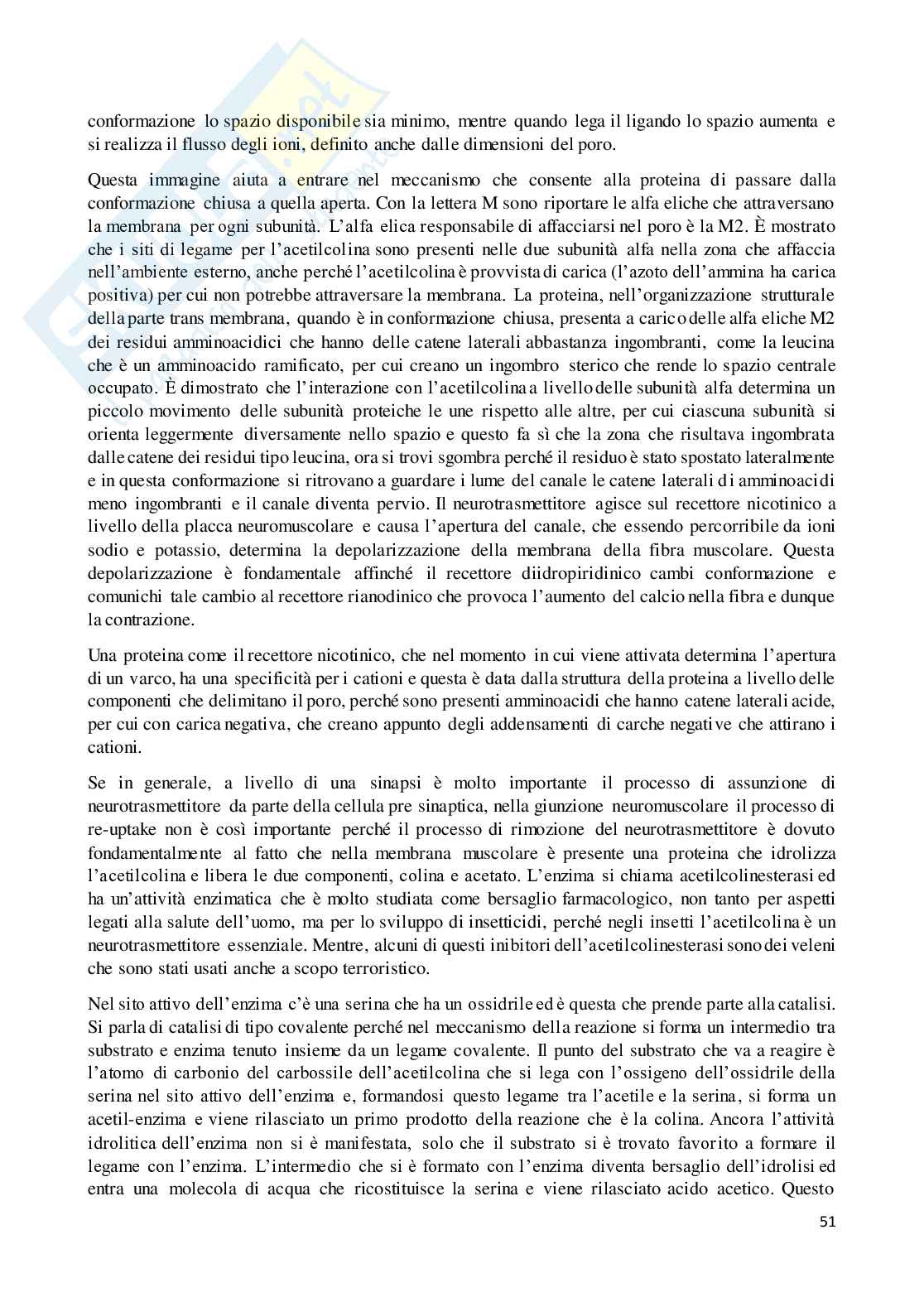 Biochimica avanzata Pag. 51